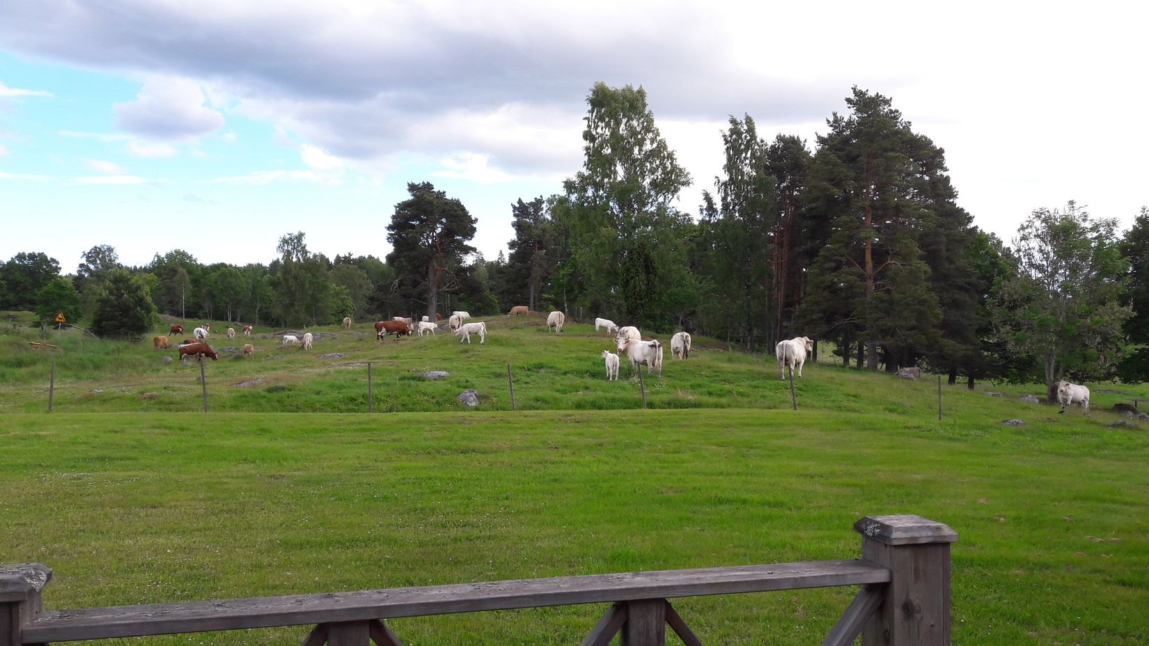 Gård/Skog, Vätövägen 126, Upplunda, Norrtälje