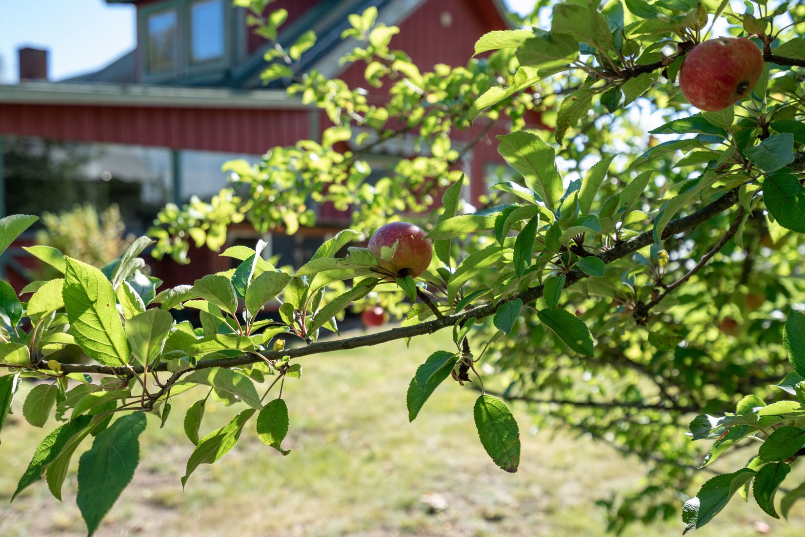 Villa, Blackekärr Stämmebacken, Skövde