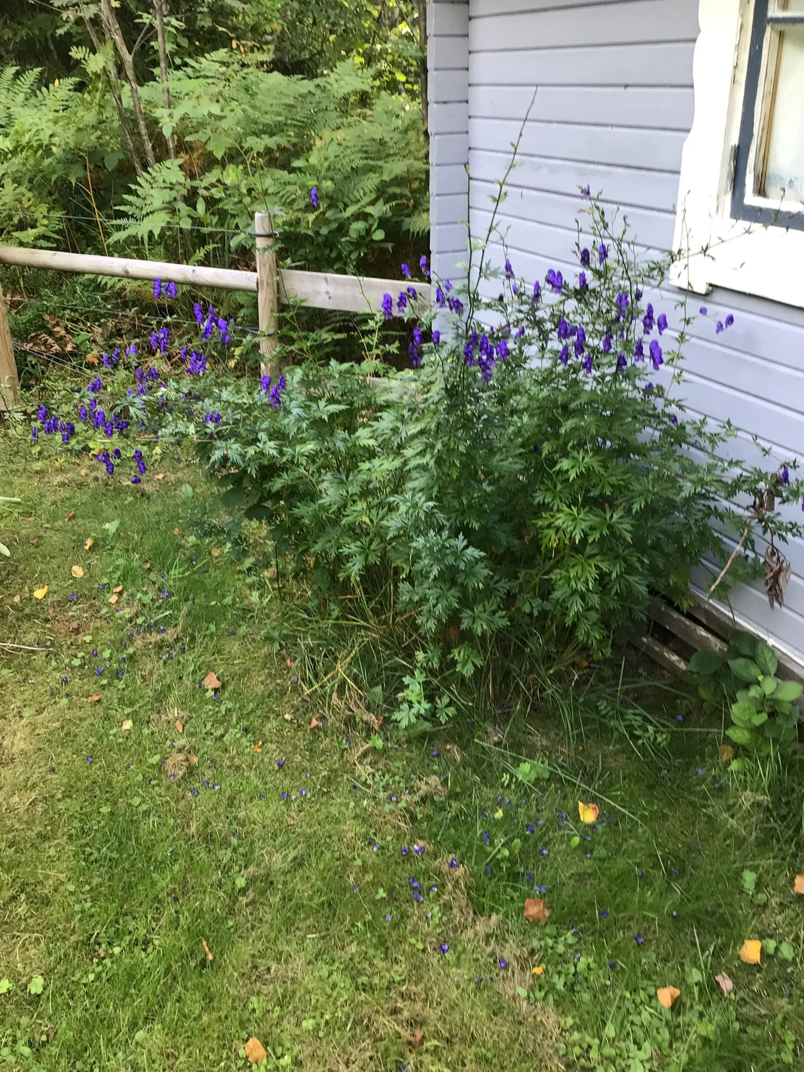 Fritidshus, Råvikskroken 1, Norrtälje