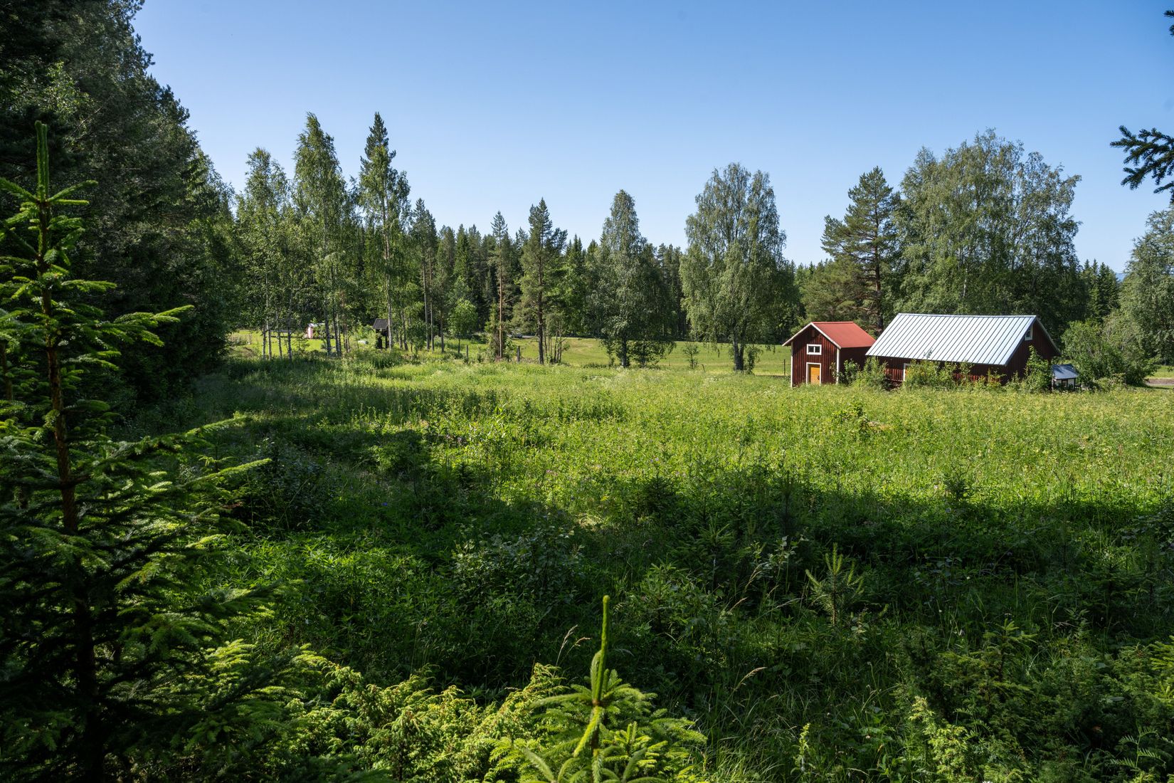 Tomt, Digernäs 520, Annersia, Östersund