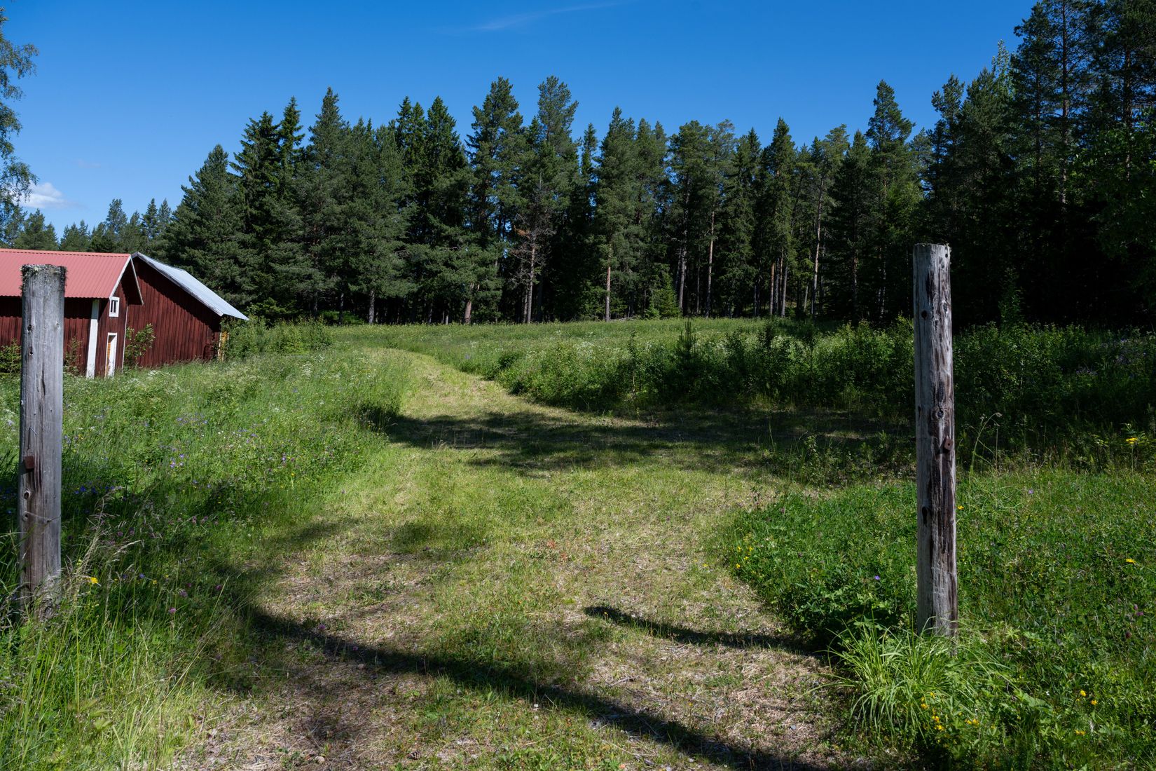 Tomt, Digernäs 520, Annersia, Östersund