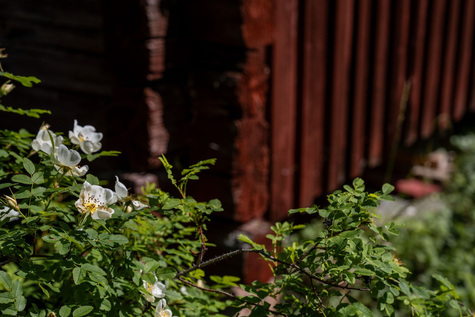 Tomt, Digernäs 520, Annersia, Östersund