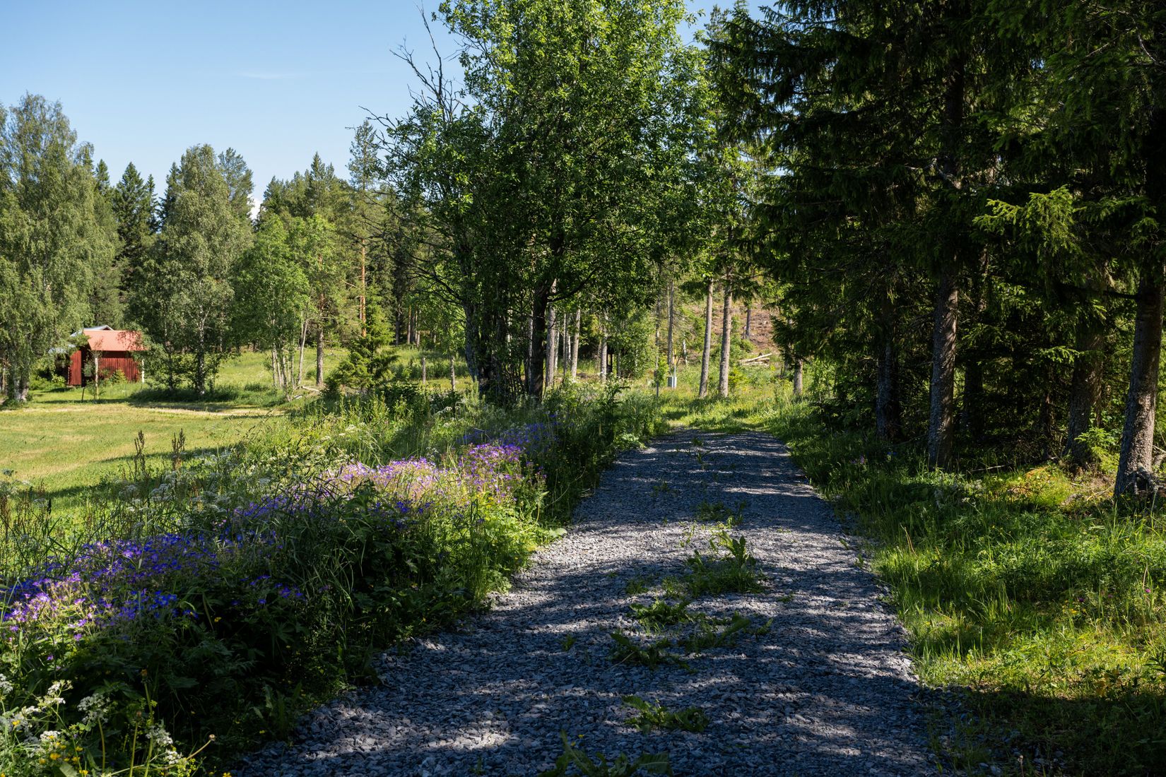 Tomt, Digernäs 520, Annersia, Östersund