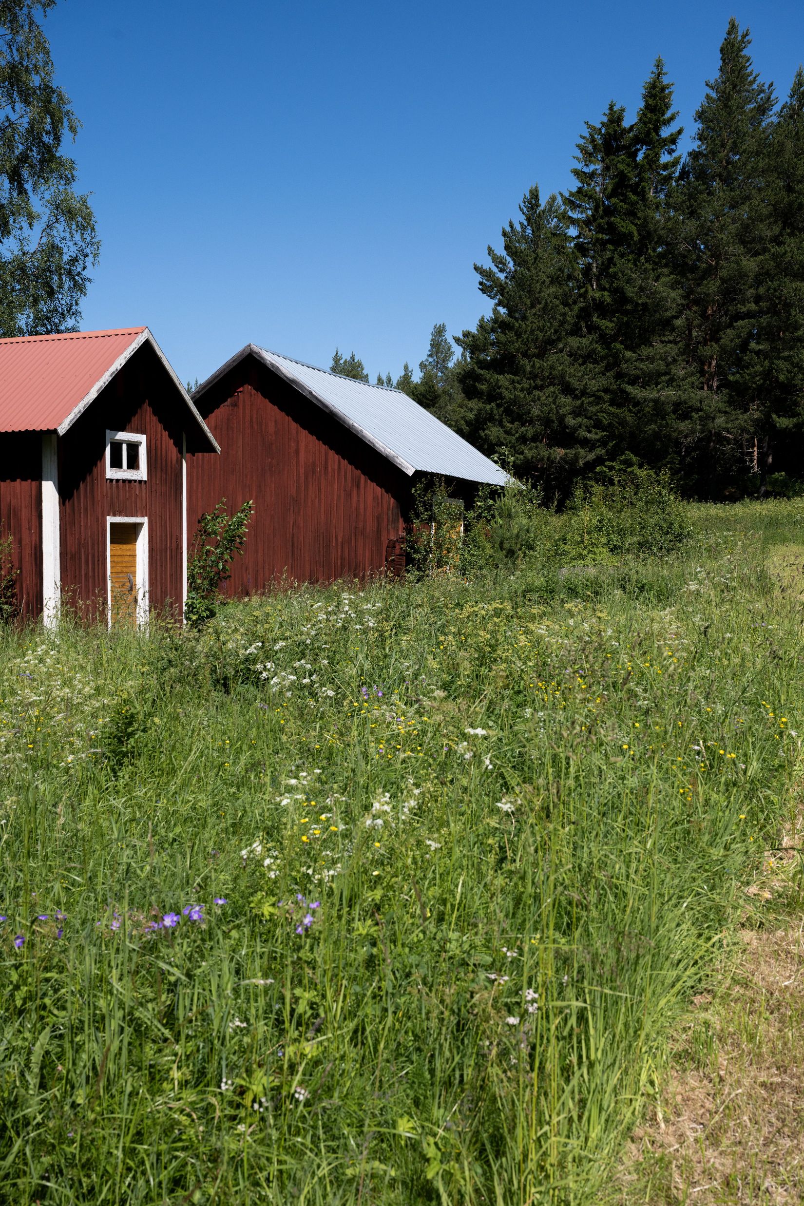 Tomt, Digernäs 520, Annersia, Östersund
