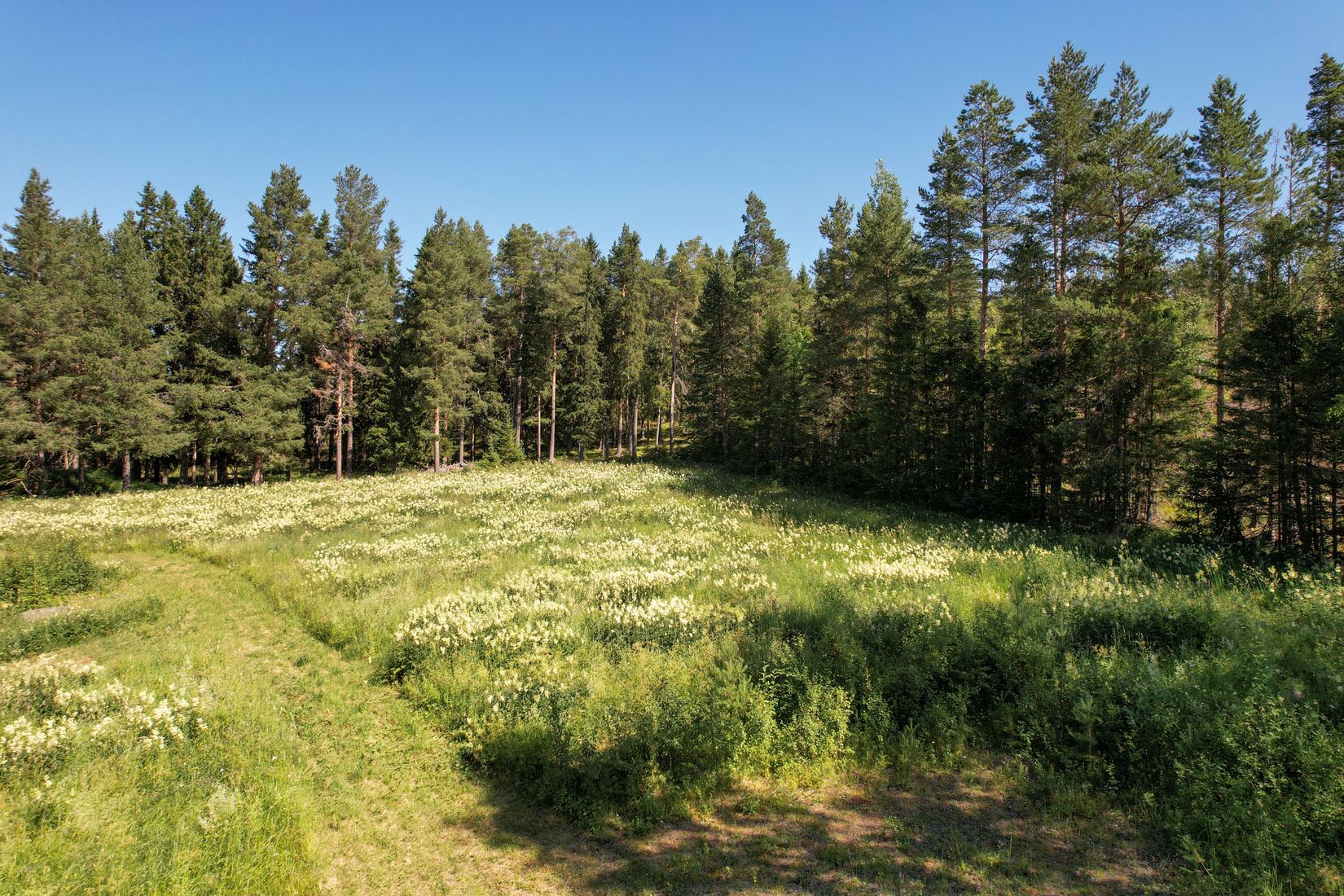 Tomt, Digernäs 520, Annersia, Östersund