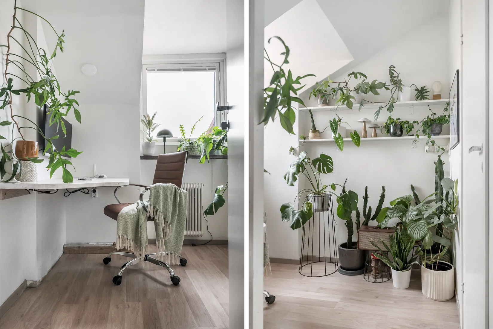 Bostadsrätt, Korsörvägen 22 A, Dammfri, Malmö