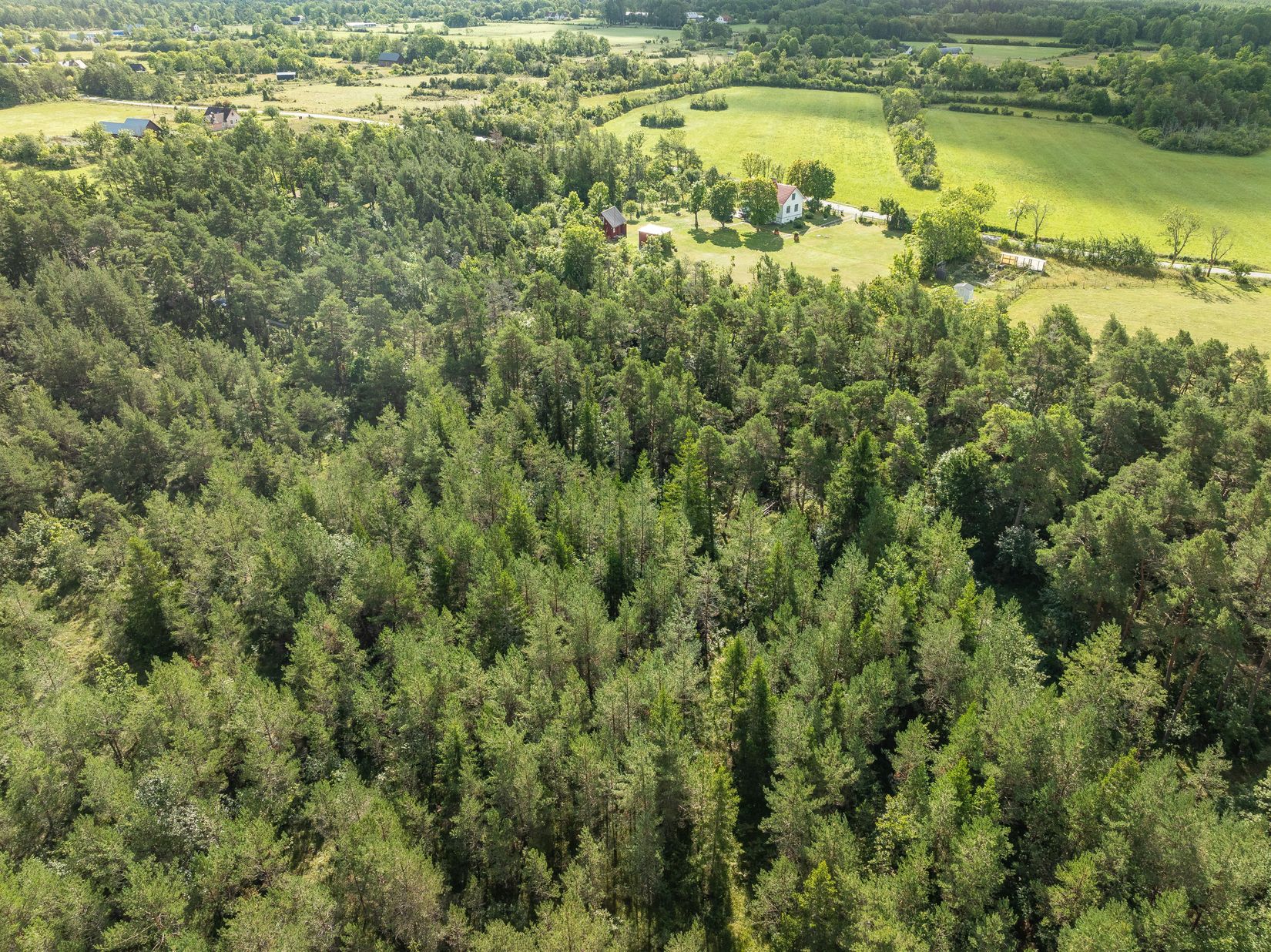 Tomt, Anga Boters 212B, Anga, Gotland