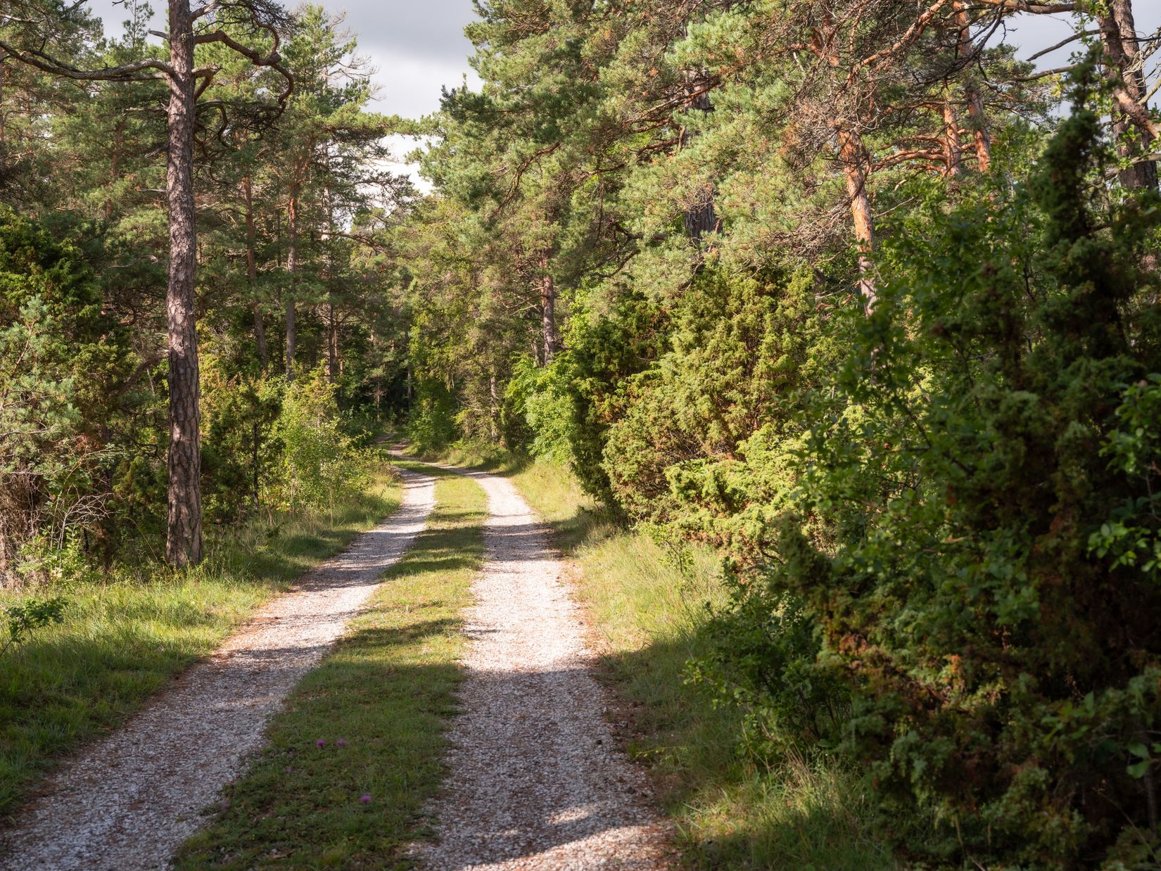 Tomt, Anga Boters 212B, Anga, Gotland