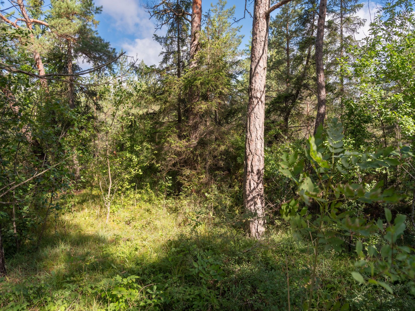 Tomt, Anga Boters 212B, Anga, Gotland