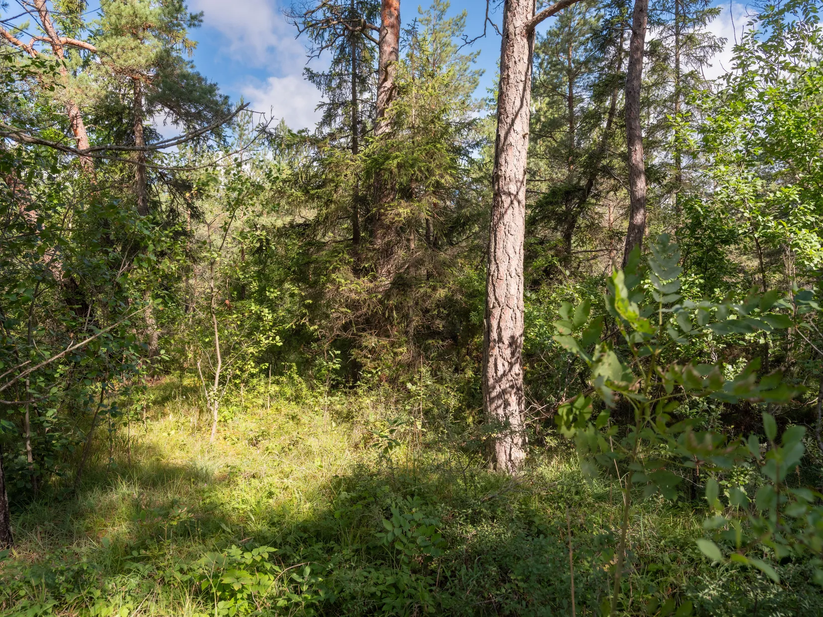 Tomt, Anga Boters 212B, Anga, Gotland