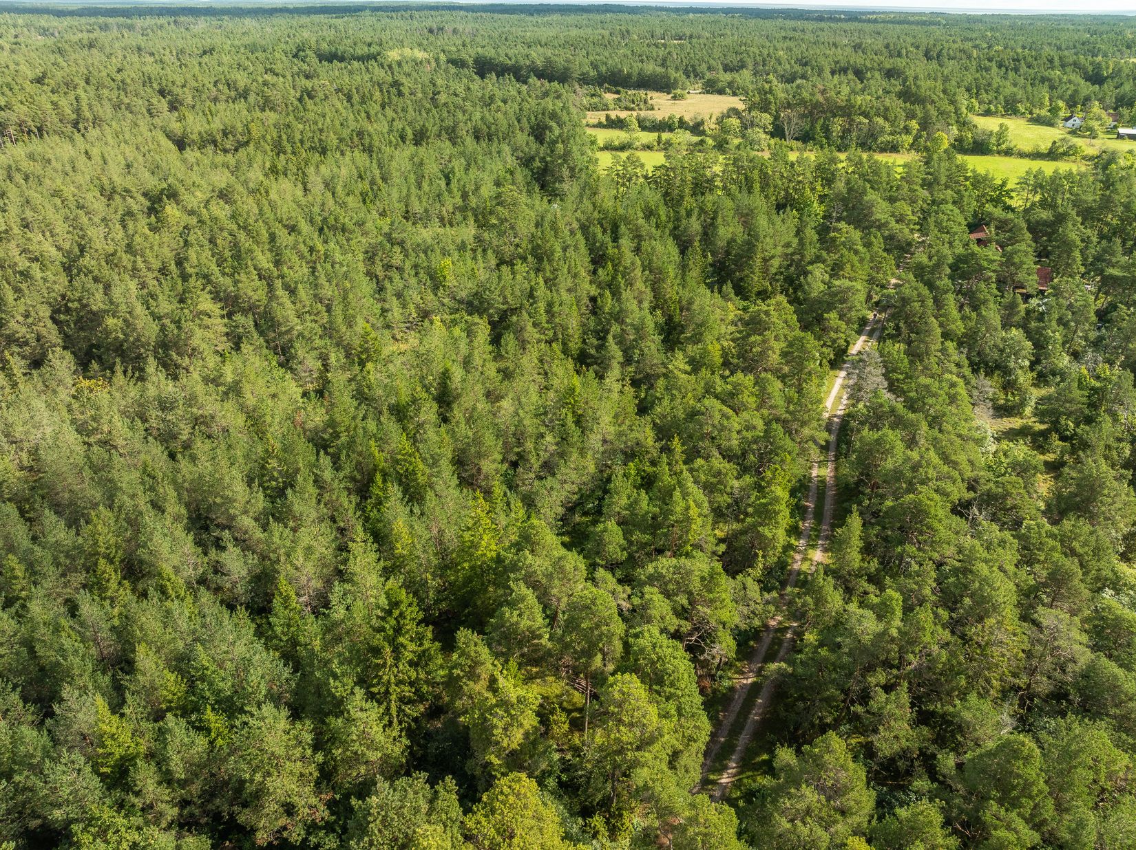 Tomt, Anga Boters 212C, Anga, Gotland