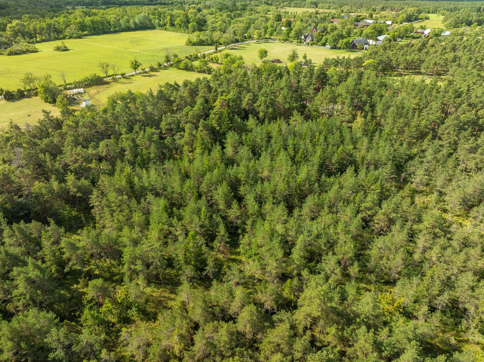 Tomt, Anga Boters 212C, Anga, Gotland