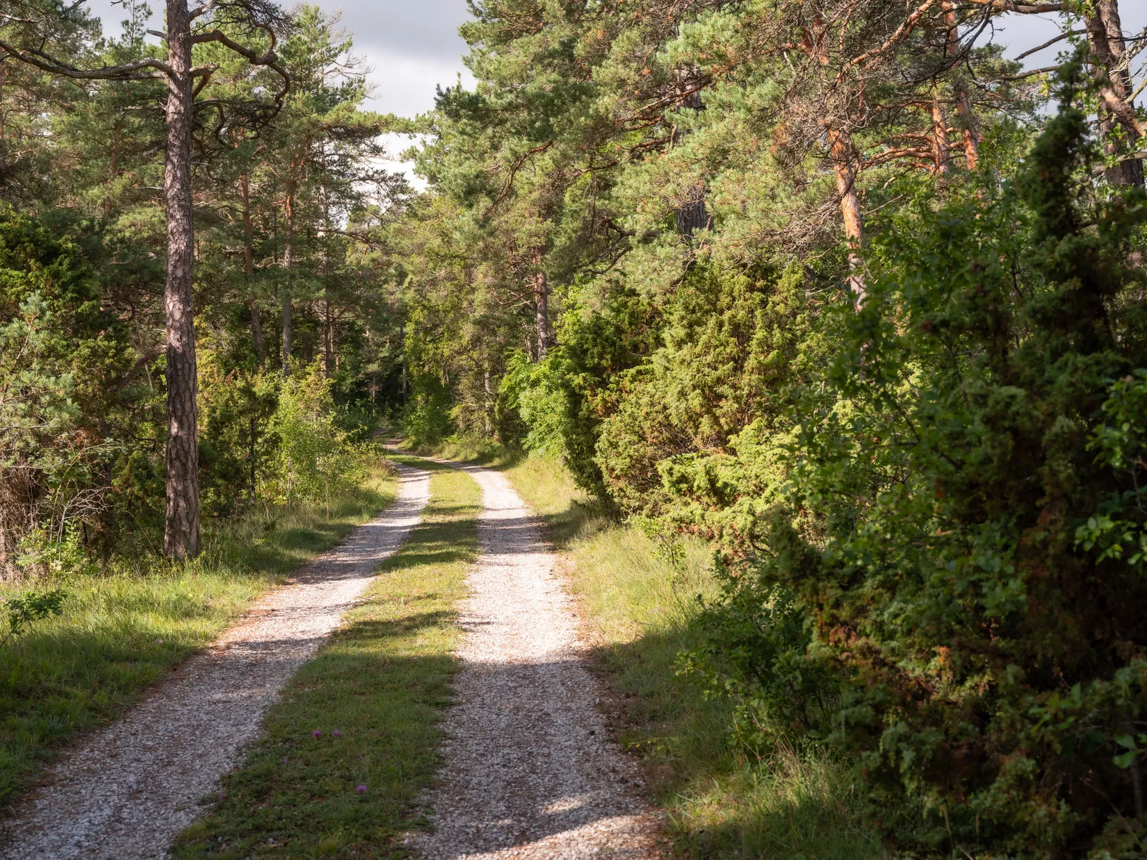 Tomt, Anga Boters 212C, Anga, Gotland