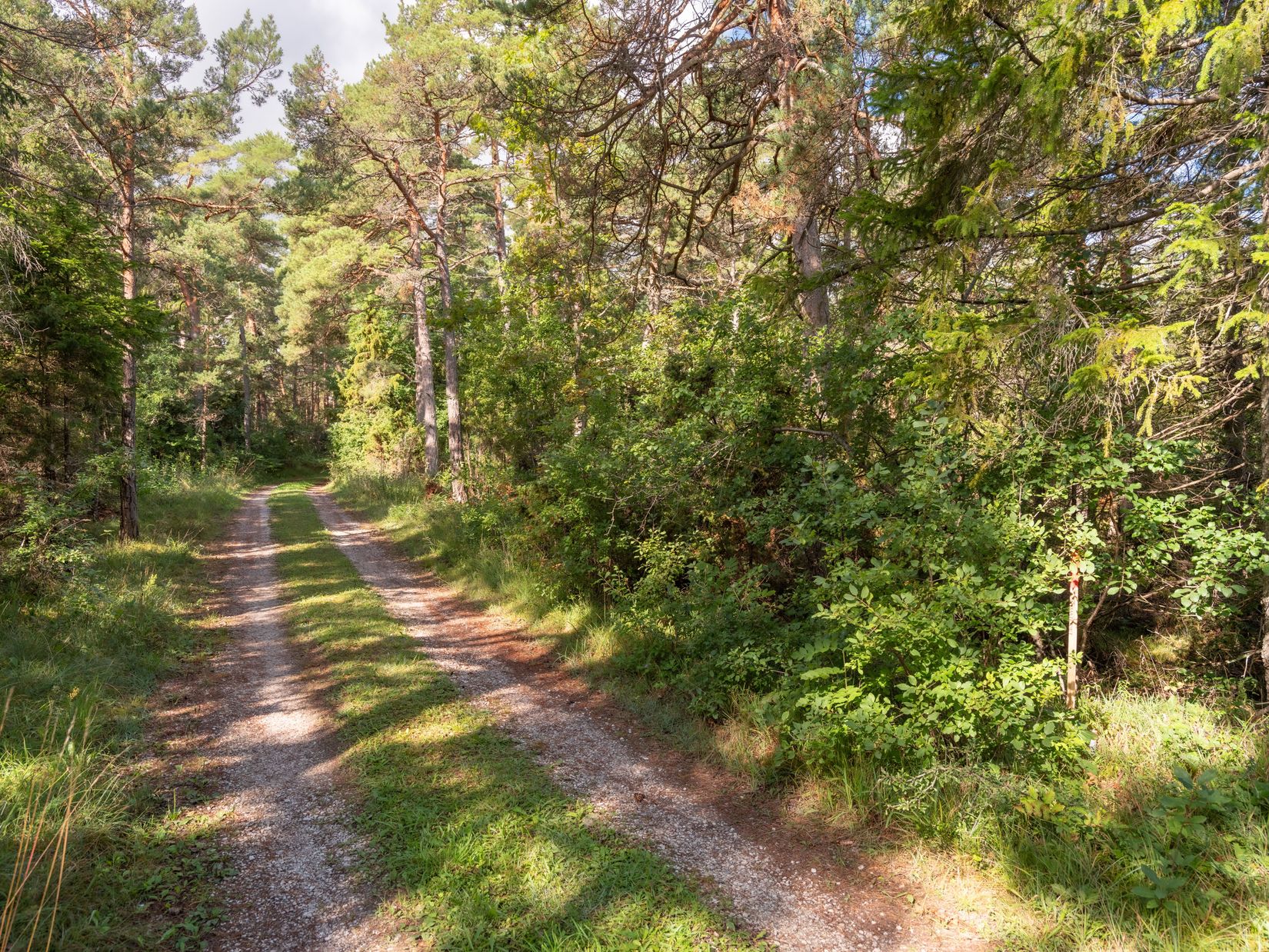 Tomt, Anga Boters 212C, Anga, Gotland