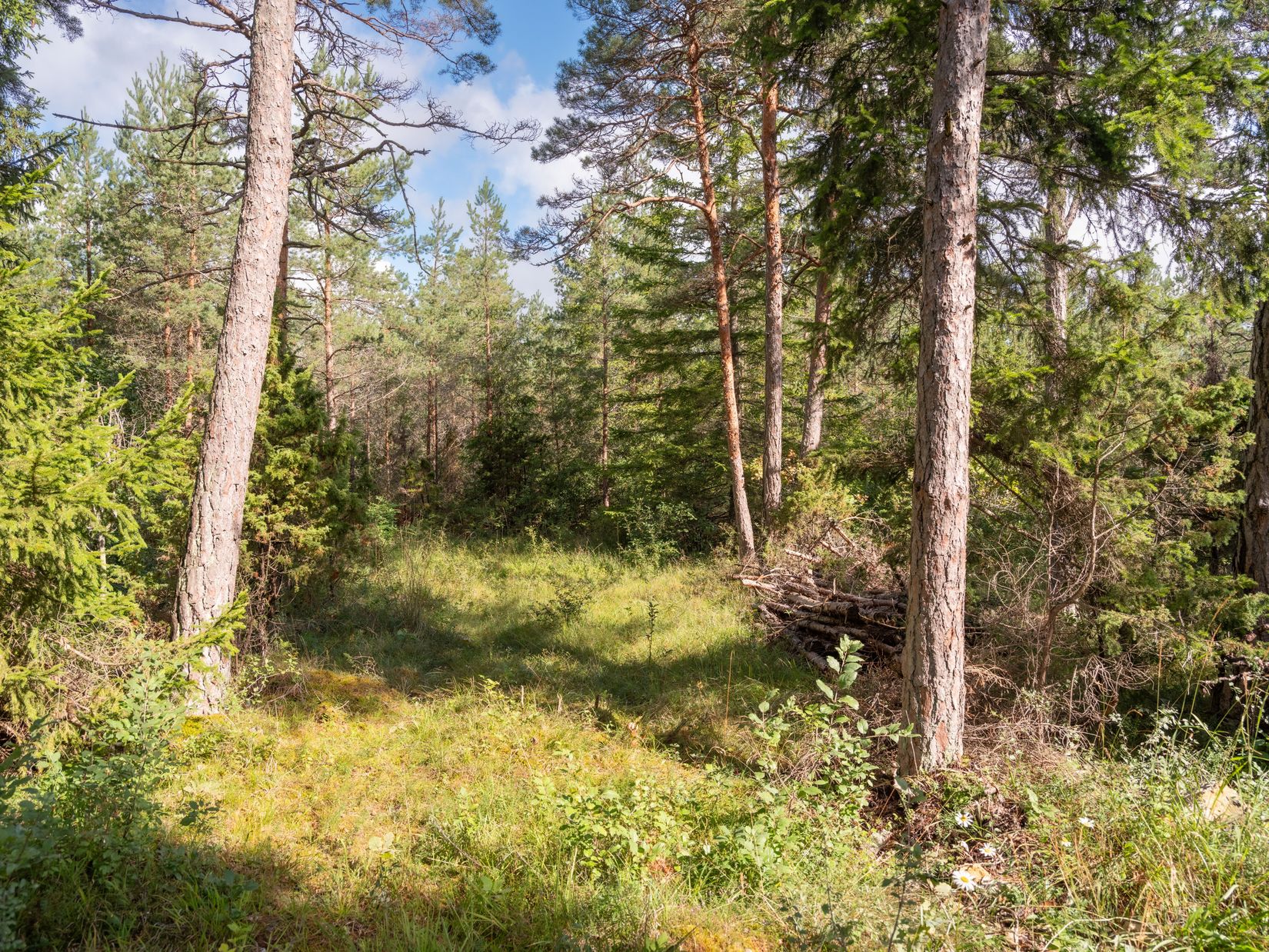 Tomt, Anga Boters 212C, Anga, Gotland