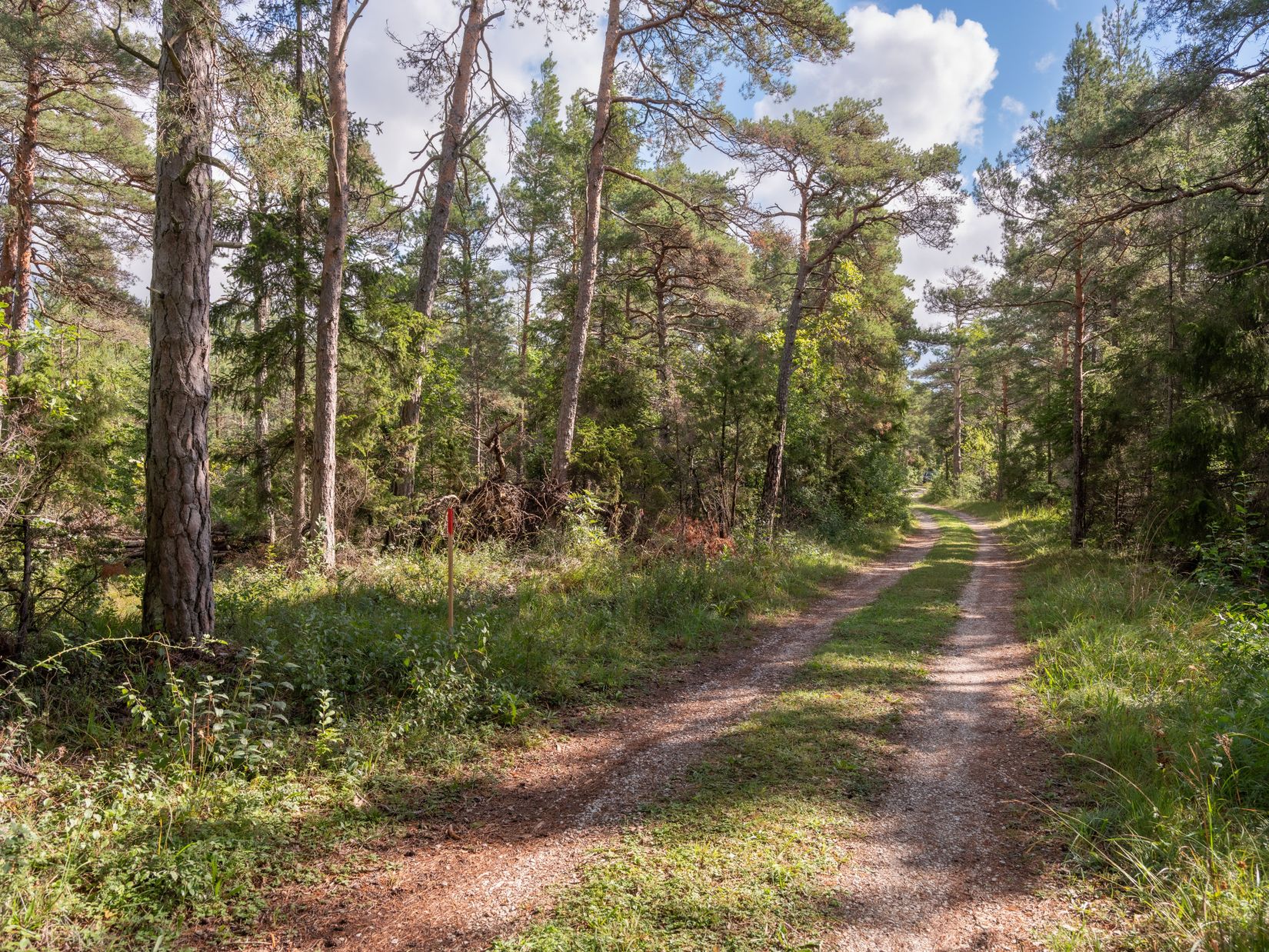 Tomt, Anga Boters 212C, Anga, Gotland