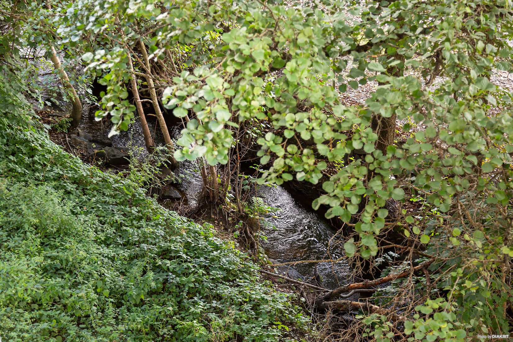 Bostadsrätt, Idrottsgatan 7, Härryda