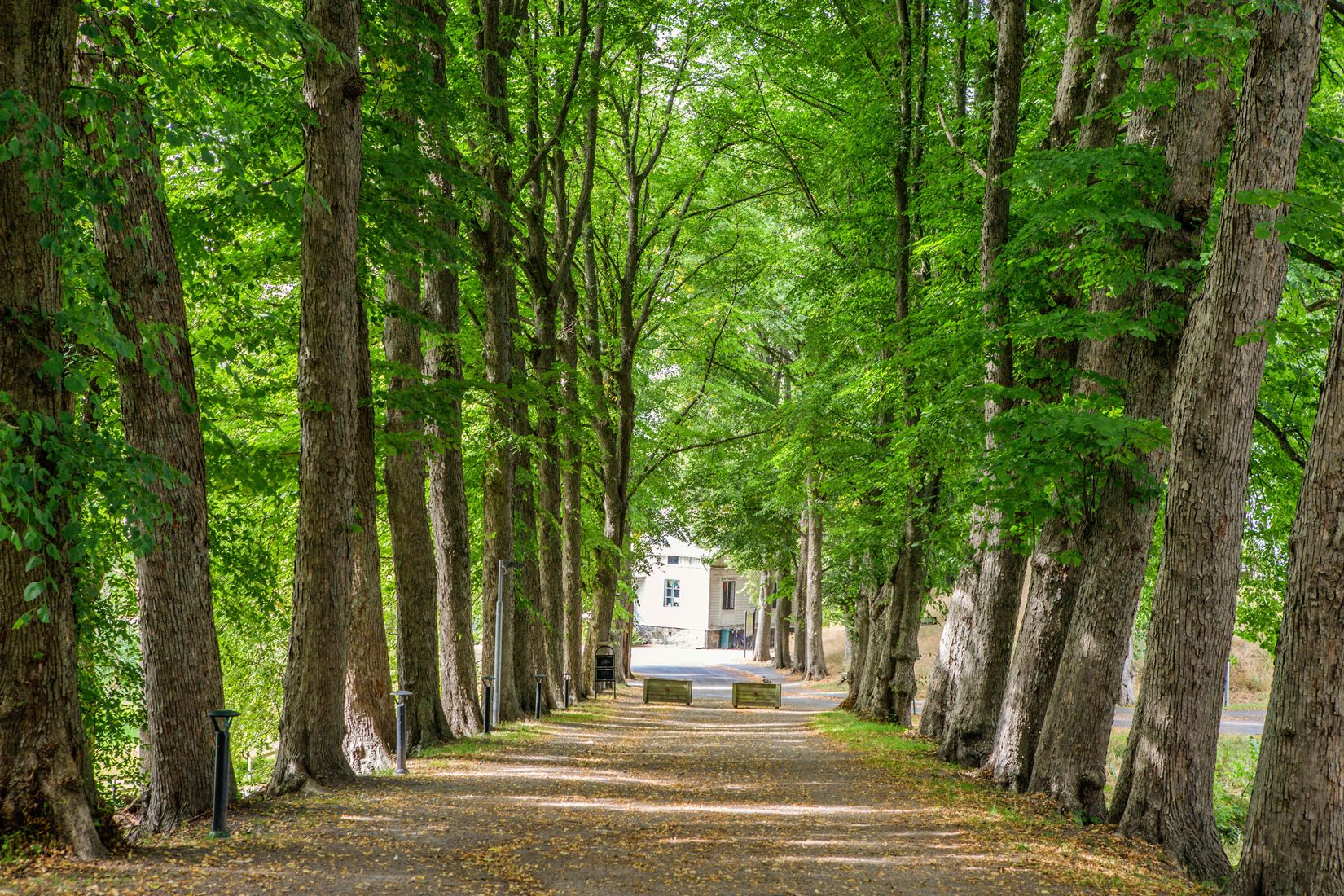 Bostadsrätt, Idrottsgatan 7, Härryda