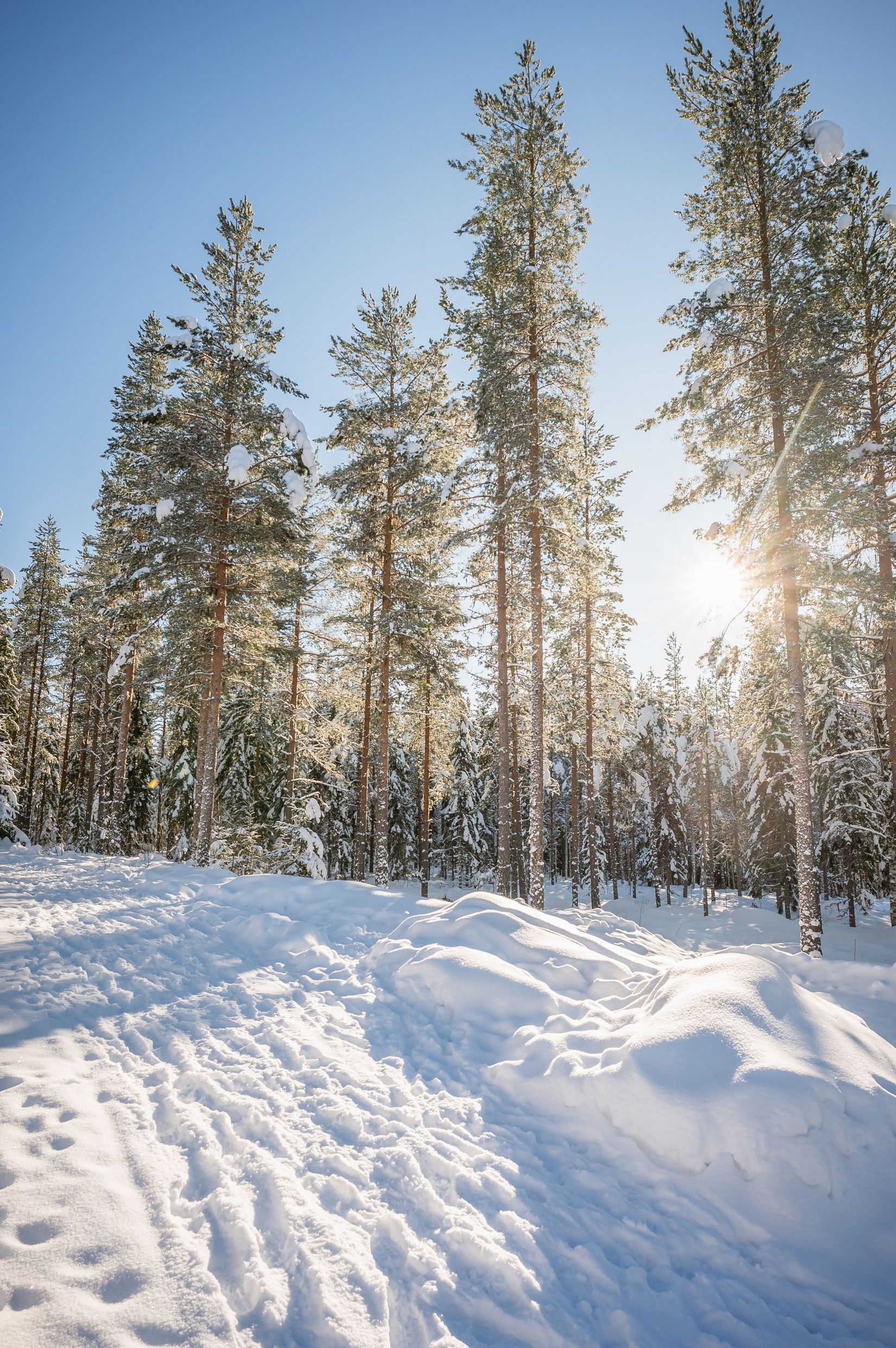 Villa, Rektorsvägen 39, Bredbyn, Örnsköldsvik