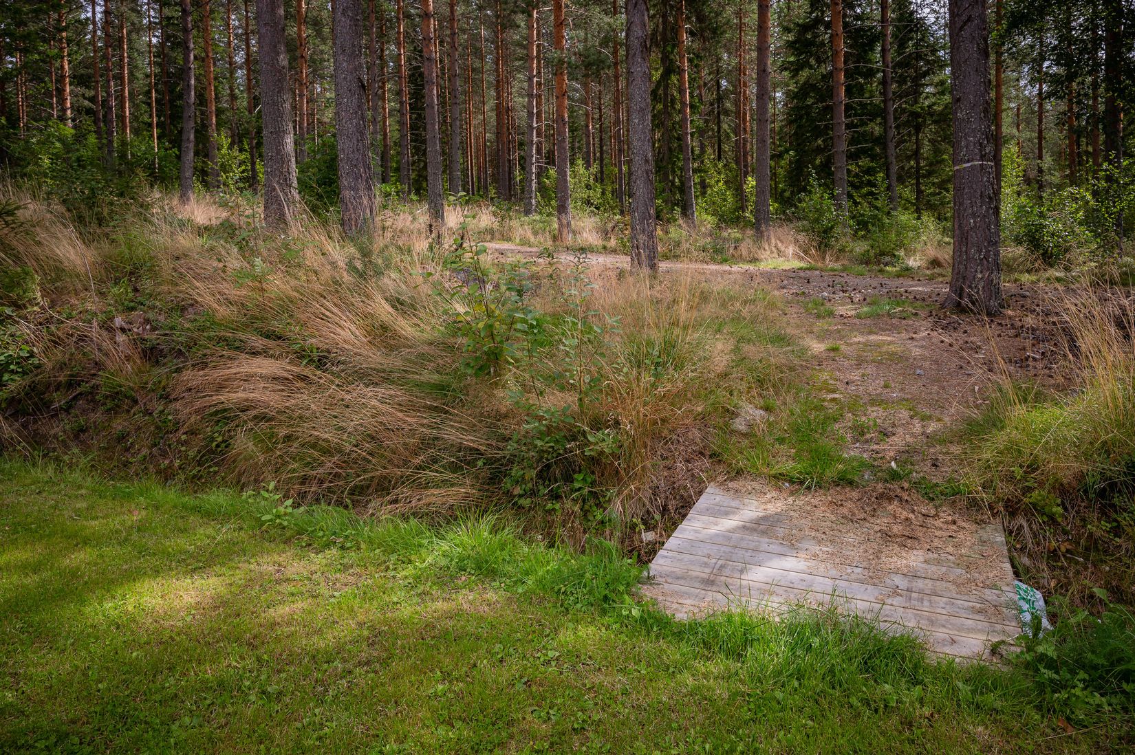 Villa, Rektorsvägen 39, Bredbyn, Örnsköldsvik