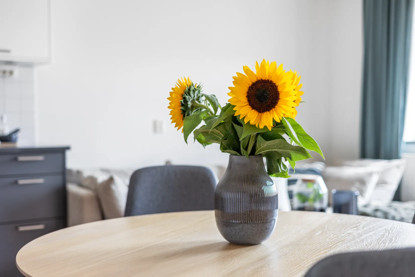 Bostadsrätt, Slottsgatan 41B, Jönköping Öster, Jönköping