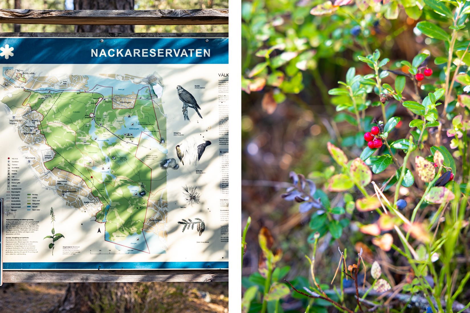 Bostadsrätt, Sten Bergmans väg 5, 3tr, Hammarbyhöjden, Stockholm