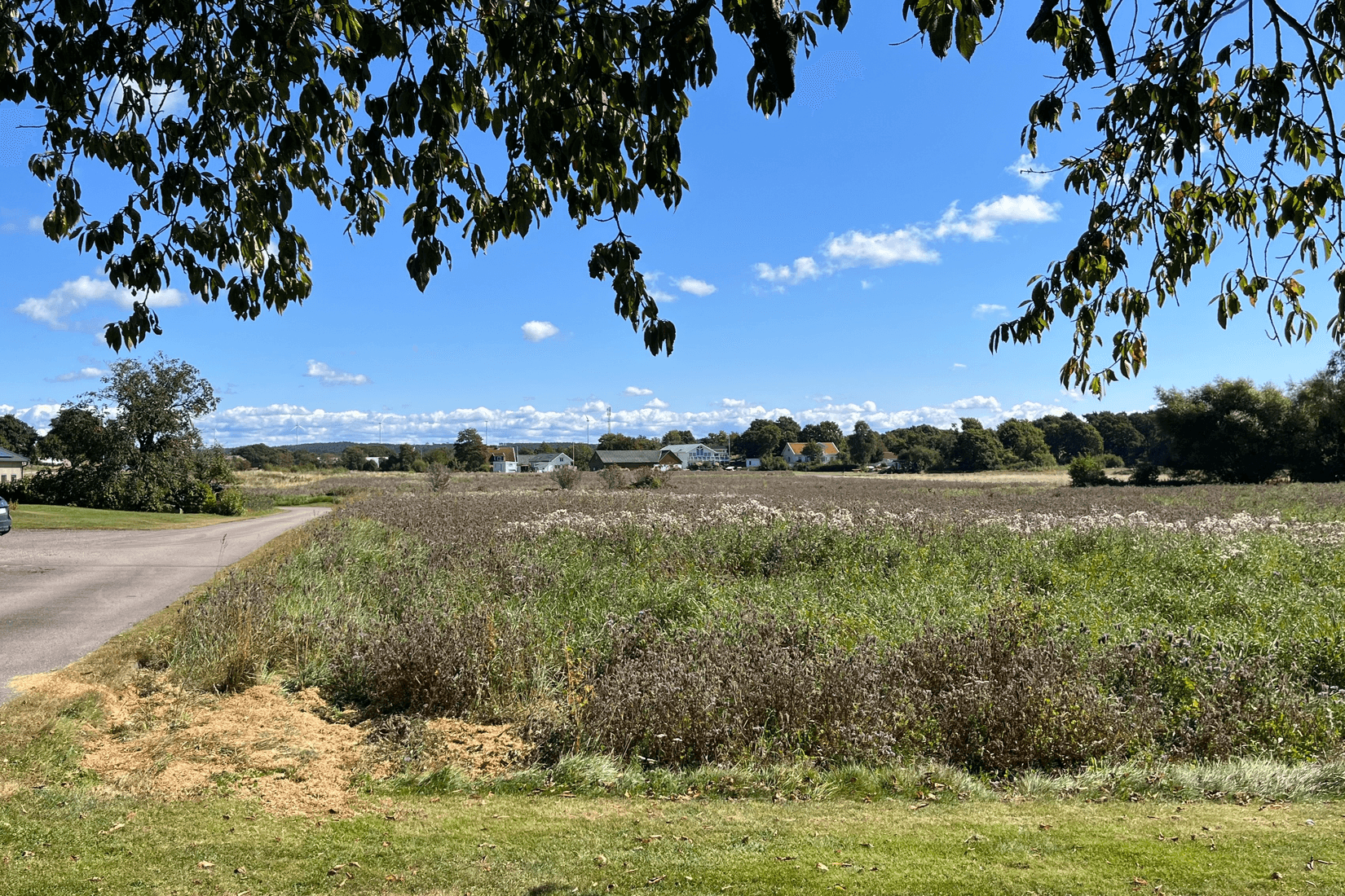 Gård/Skog, Årnäs 1, Varberg