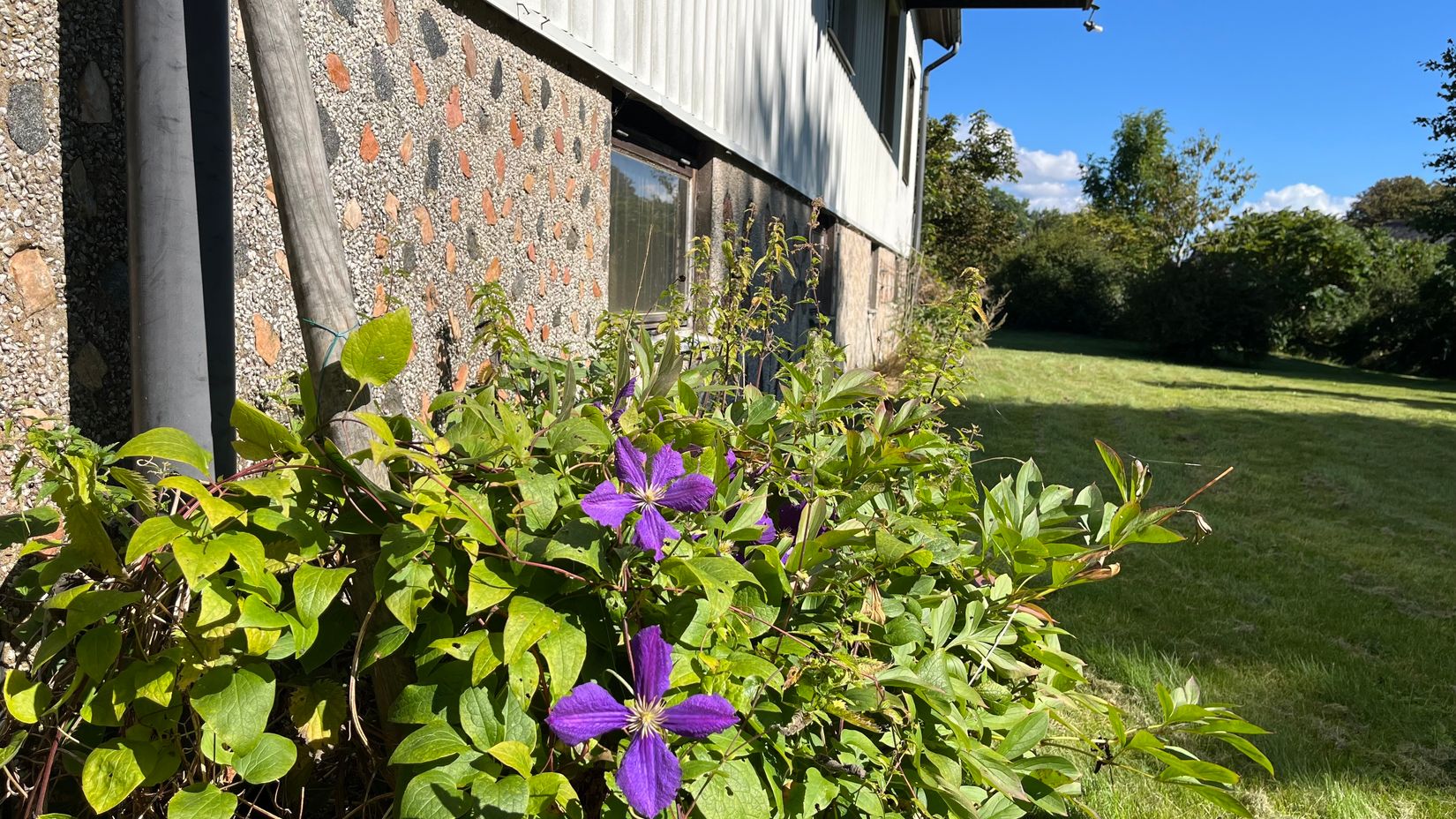 Gård/Skog, Årnäs 1, Varberg