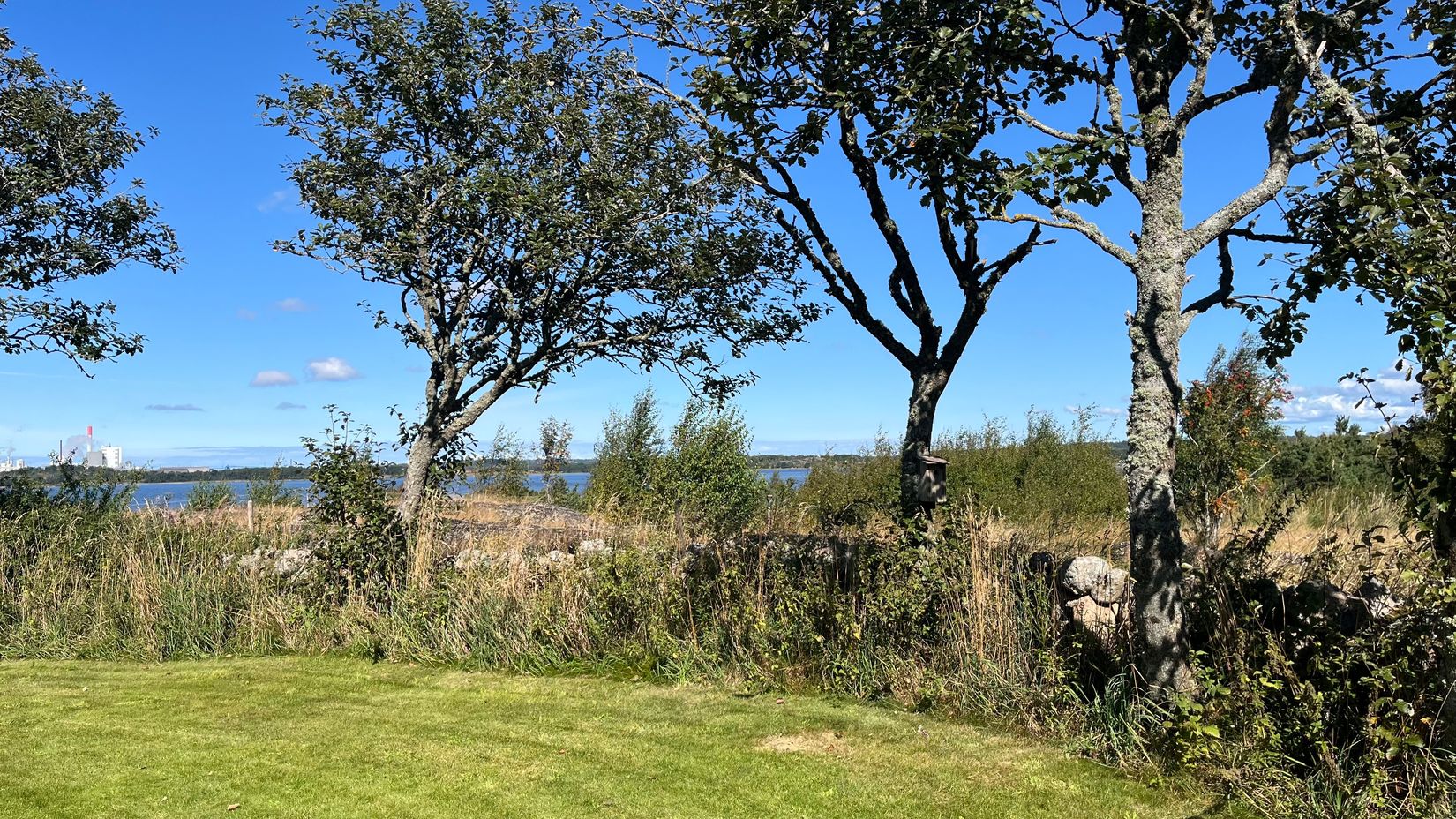 Gård/Skog, Årnäs 1, Varberg