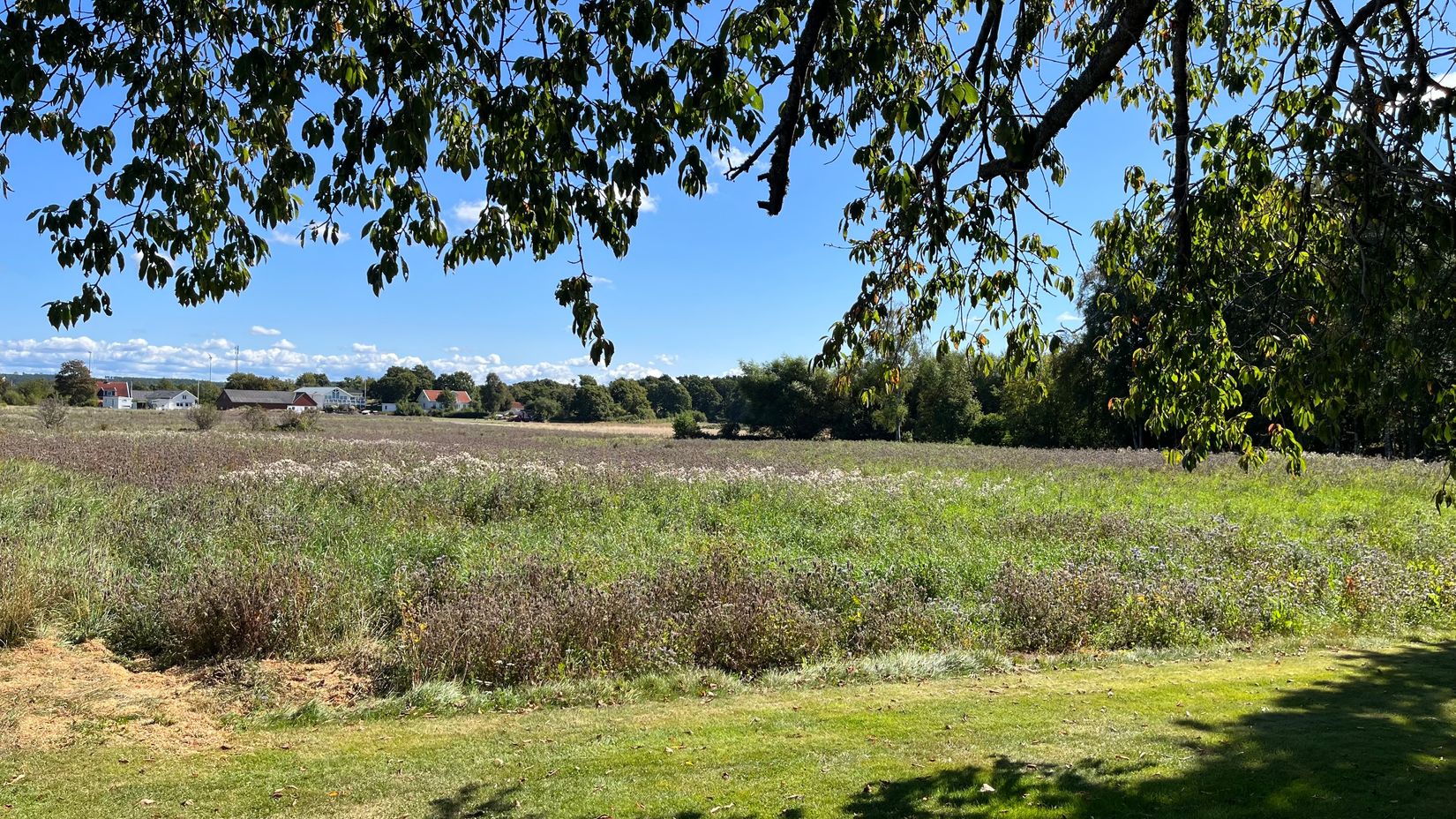 Gård/Skog, Årnäs 1, Varberg