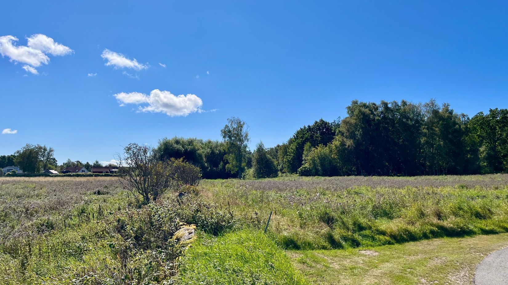 Gård/Skog, Årnäs 1, Varberg