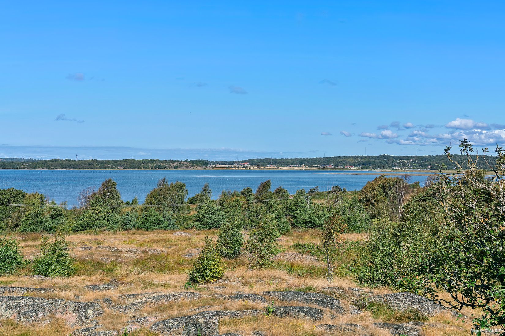 Gård/Skog, Årnäs 1, Varberg