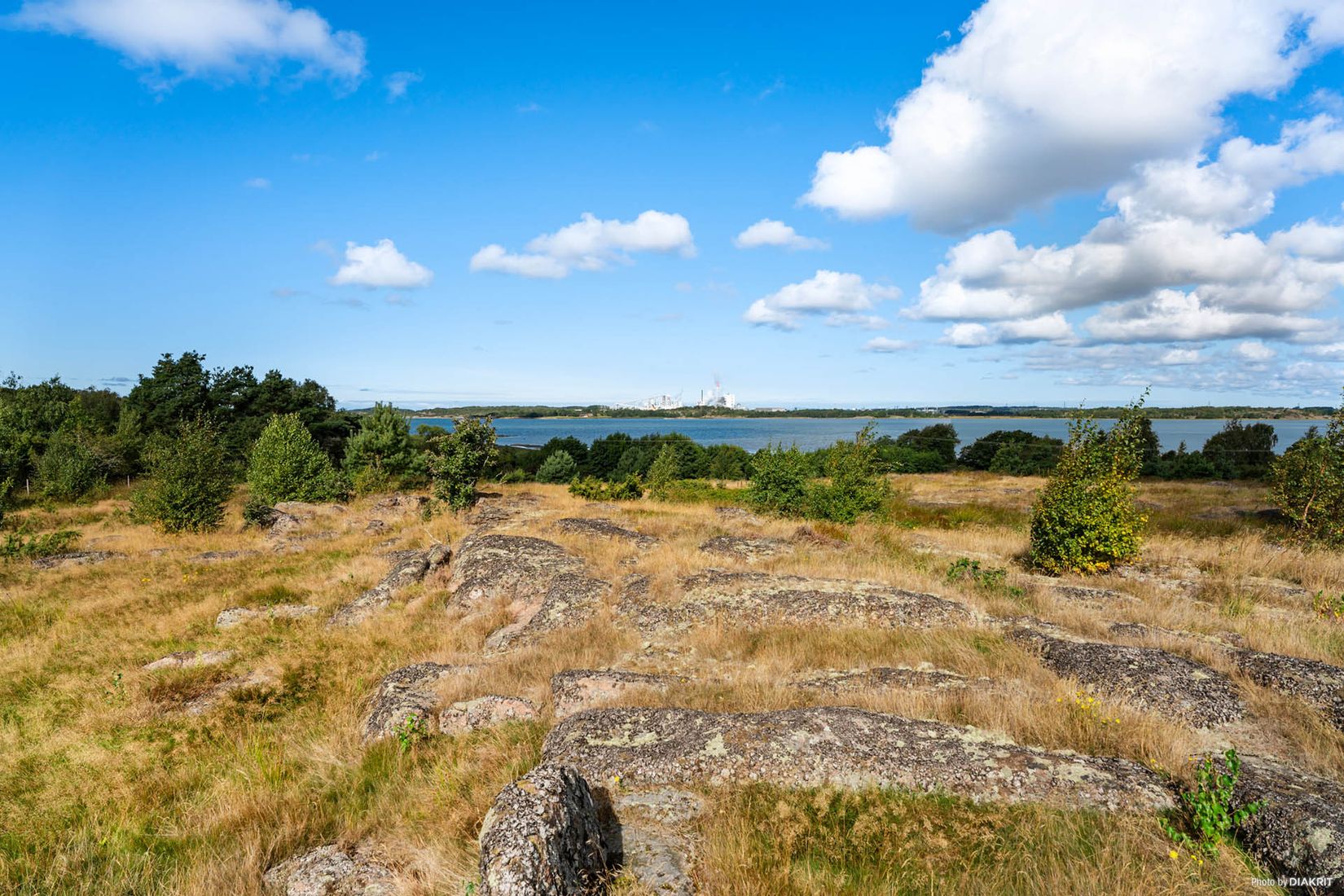 Gård/Skog, Årnäs 1, Varberg