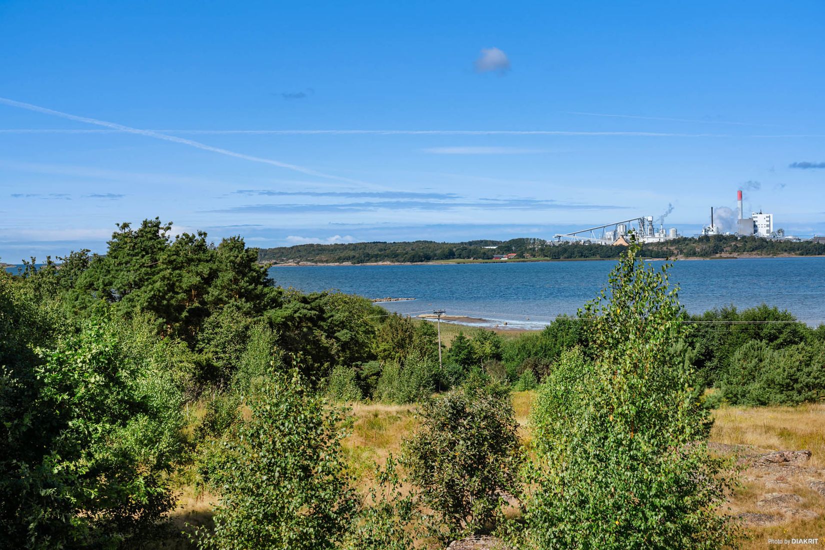 Gård/Skog, Årnäs 1, Varberg