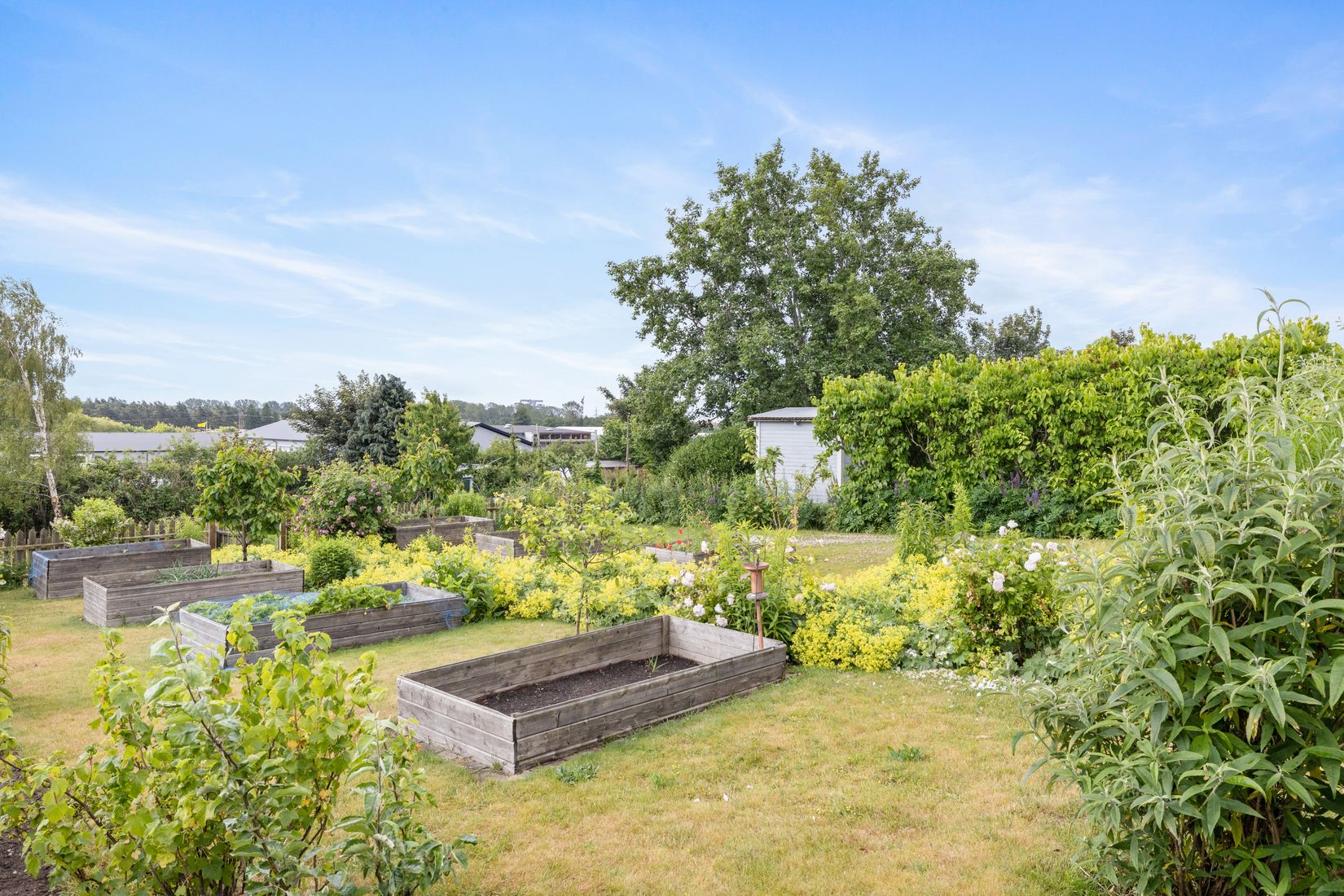 Fritidshus, Kolonilott nr 40 och nr 41  Nickelgatan 6, Ystad