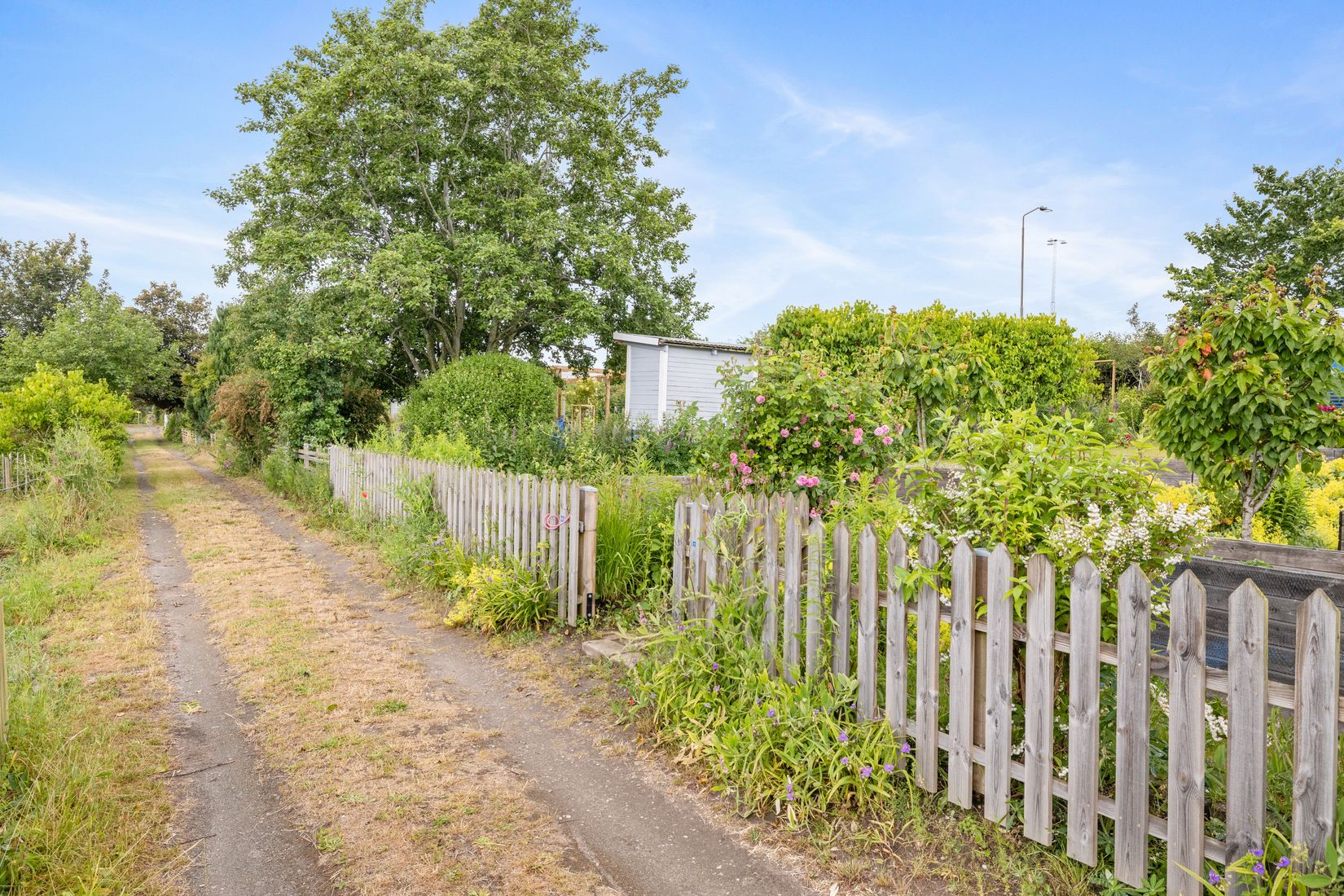 Fritidshus, Kolonilott nr 40 och nr 41  Nickelgatan 6, Ystad