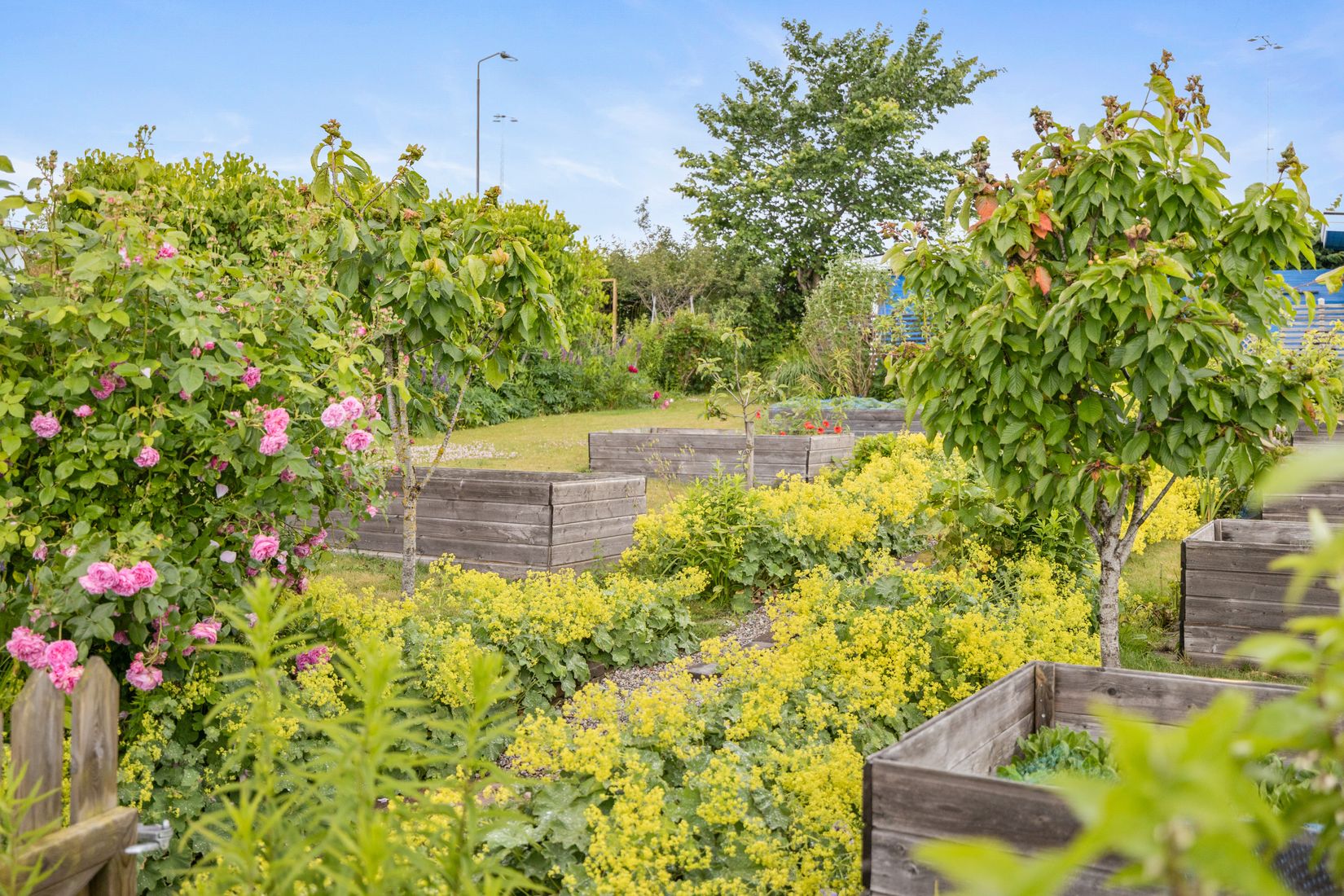 Fritidshus, Kolonilott nr 40 och nr 41  Nickelgatan 6, Ystad
