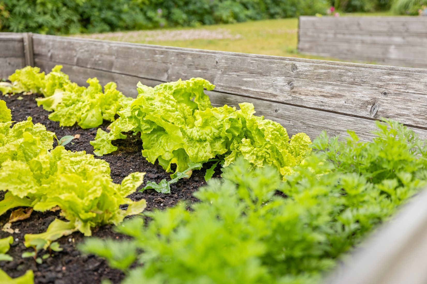 Fritidshus, Kolonilott nr 40 och nr 41  Nickelgatan 6, Ystad