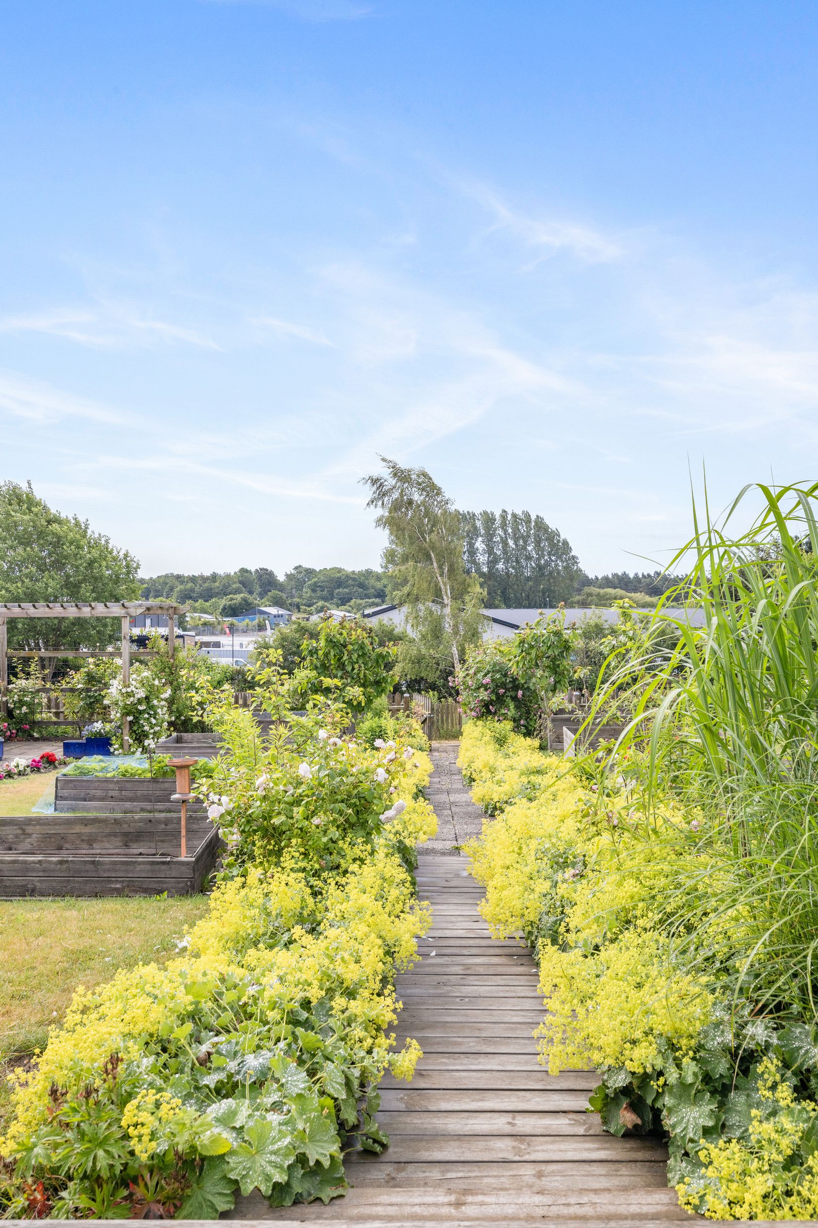 Fritidshus, Kolonilott nr 40 och nr 41  Nickelgatan 6, Ystad