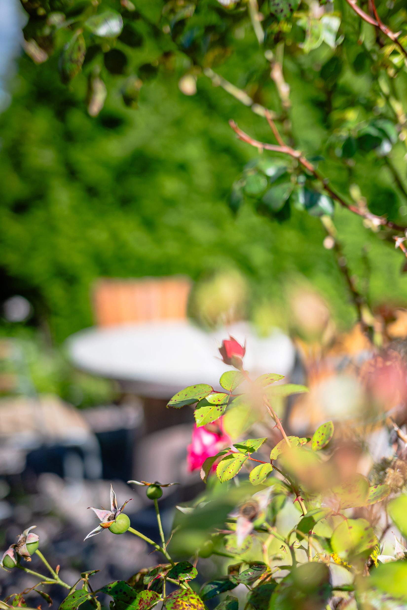 Villa, Furuvägen 4, Hagalund, Nyköping