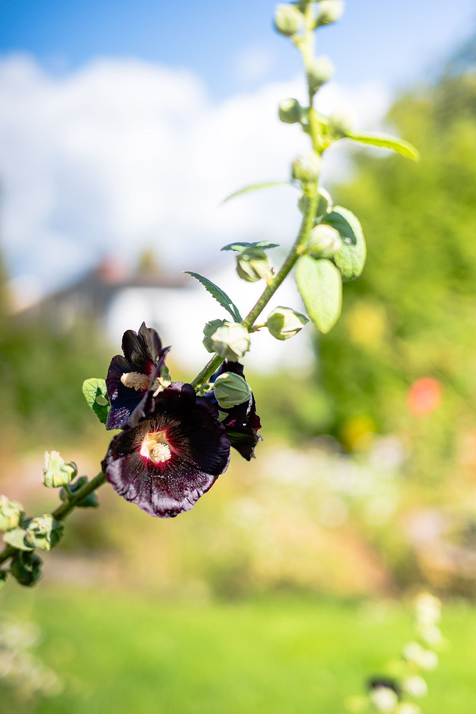 Villa, Furuvägen 4, Hagalund, Nyköping