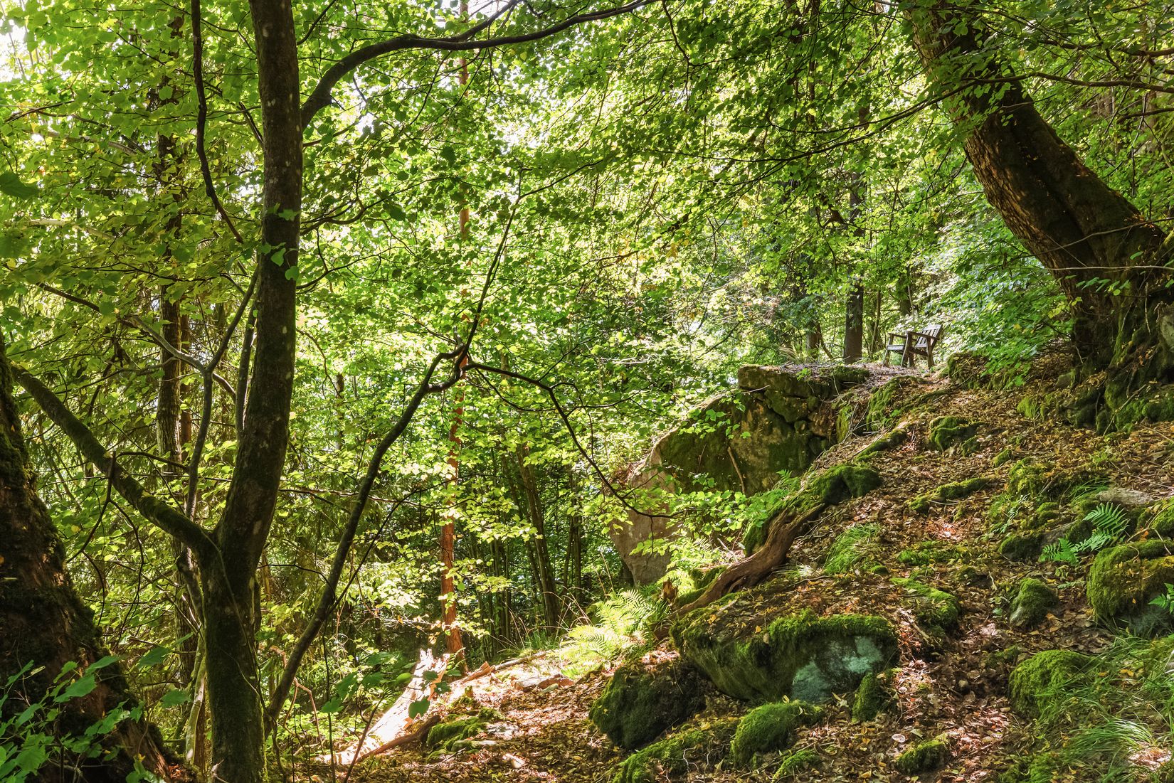 Fritidshus, Varbergsstigen 10, Aspen/Aspenäs, Lerum