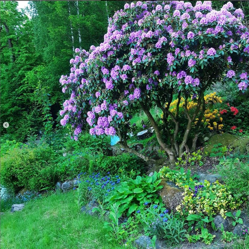 Fritidshus, Varbergsstigen 10, Aspen/Aspenäs, Lerum