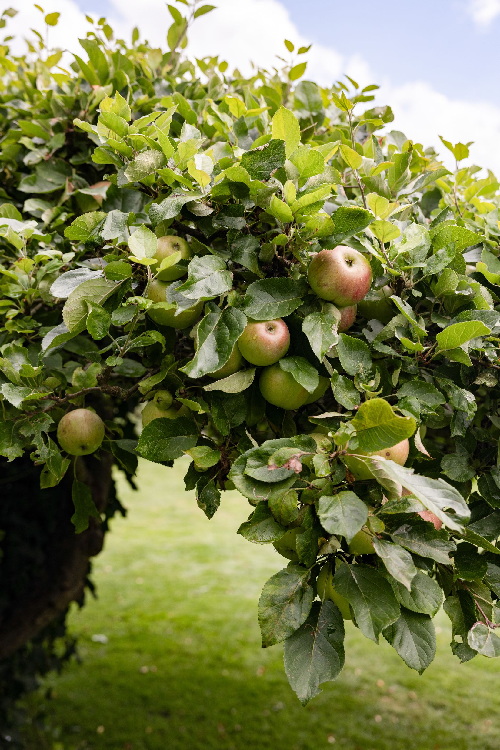 Villa, Hällestadsvägen 33, Dalby - Centrum, Lund