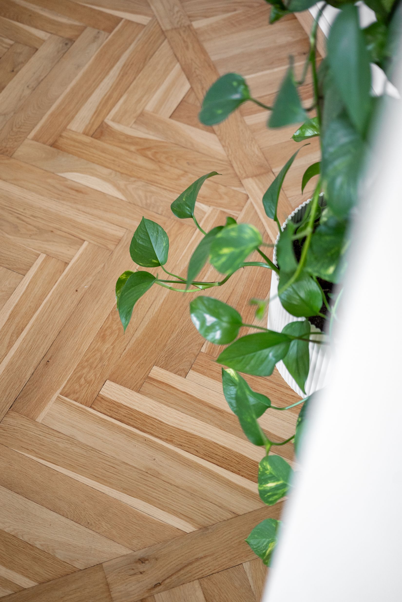 Bostadsrätt, Skolvägen 4B, Sandared, Borås