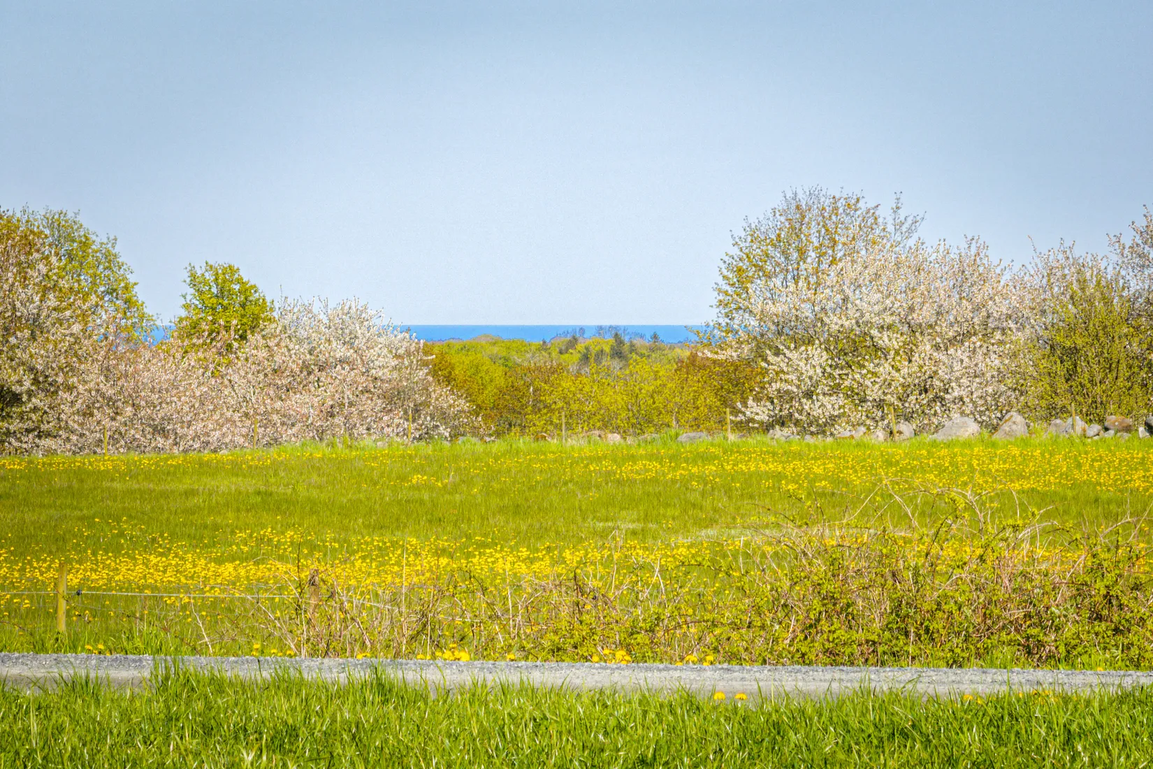 Tomt, Grevlunda backaväg 6, Grevlunda backar, Simrishamn