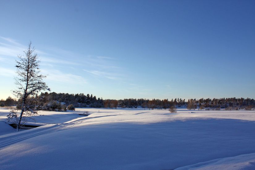 Tomt, Harens väg 17, 22 & 24, Burvik, Uppsala