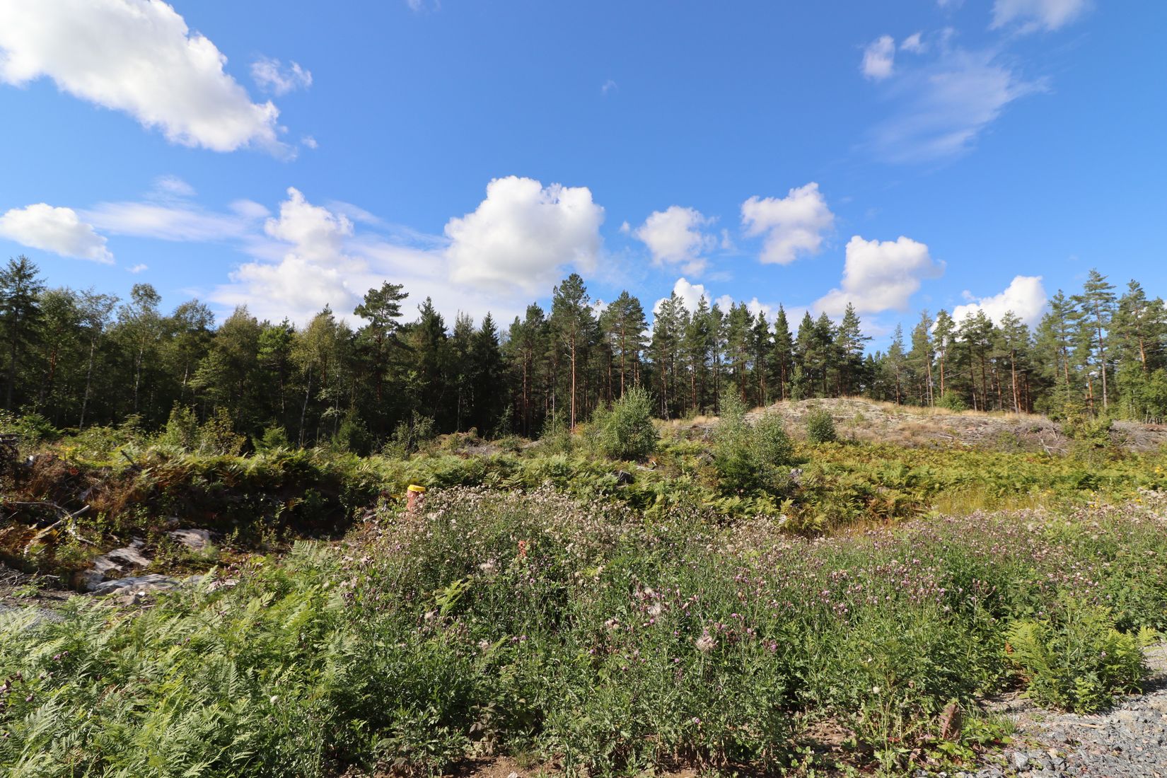 Tomt, Harens väg 17, 22 & 24, Burvik, Uppsala