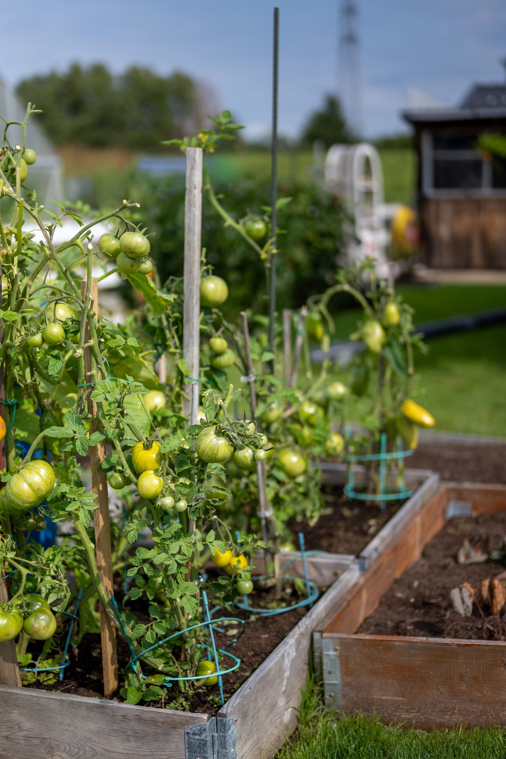 Fritidshus, Ullevivägen 529 - Koloniområde, Ullevi, Linköping
