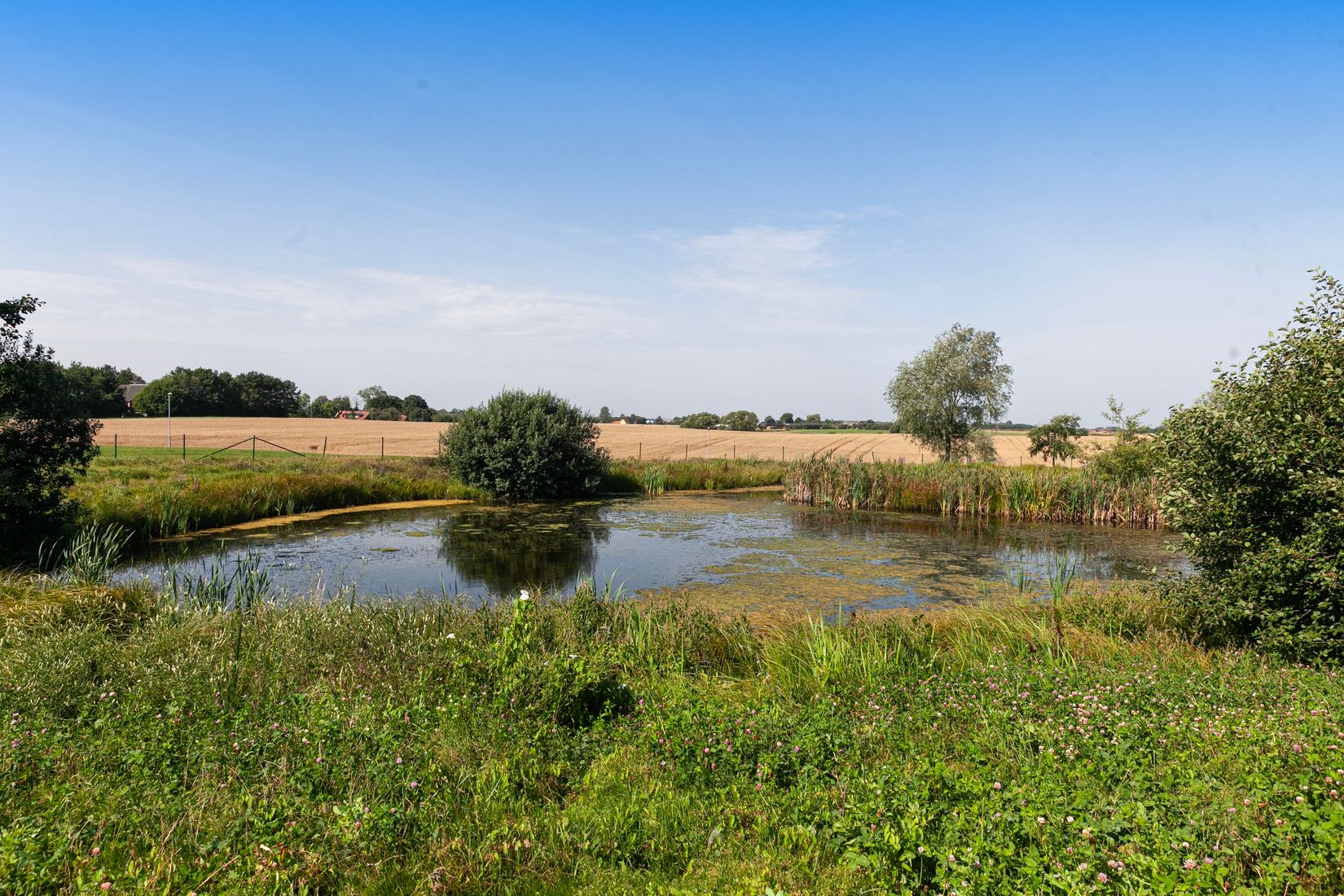 Villa, Blekingegatan 17, Bjuv